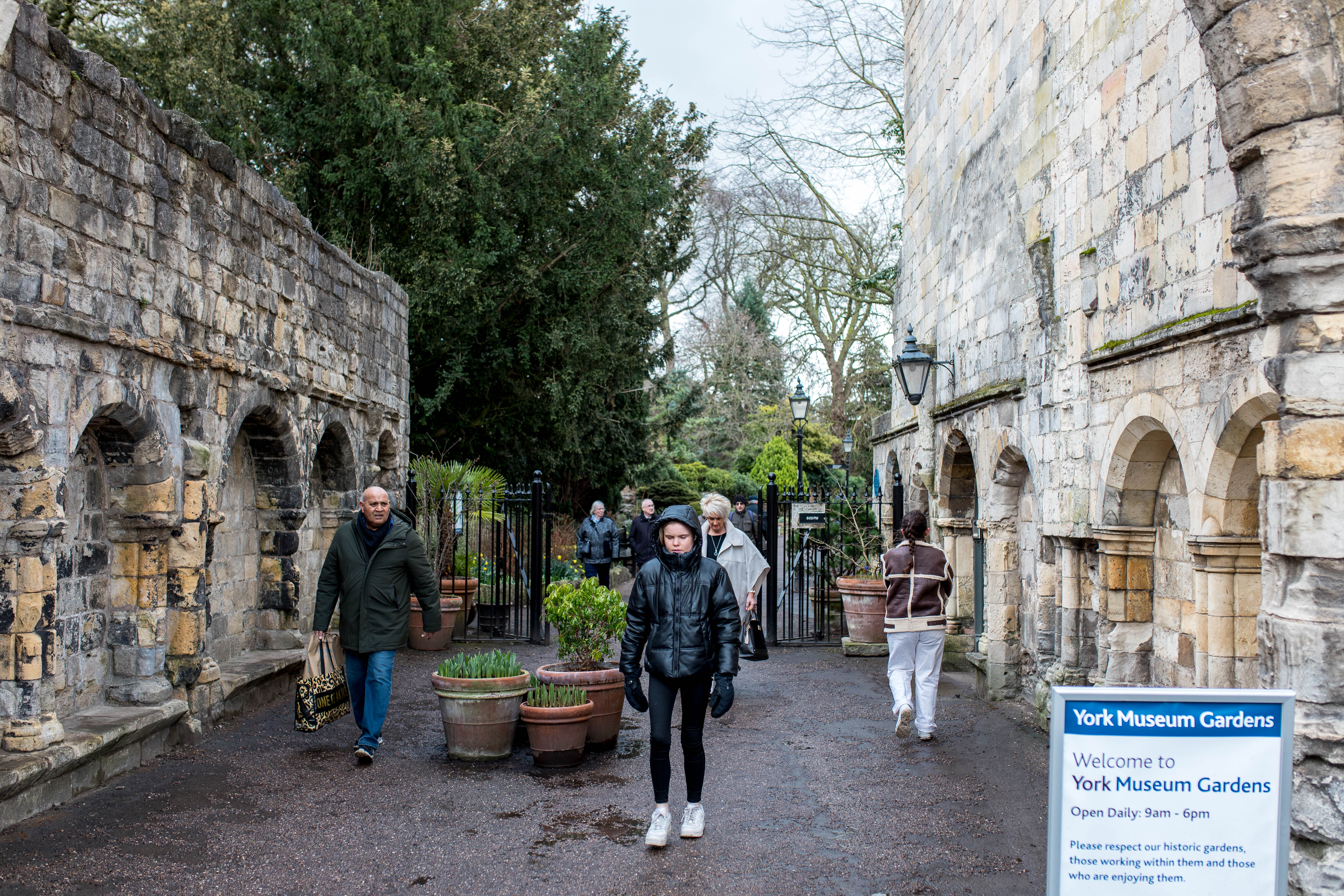 York 494