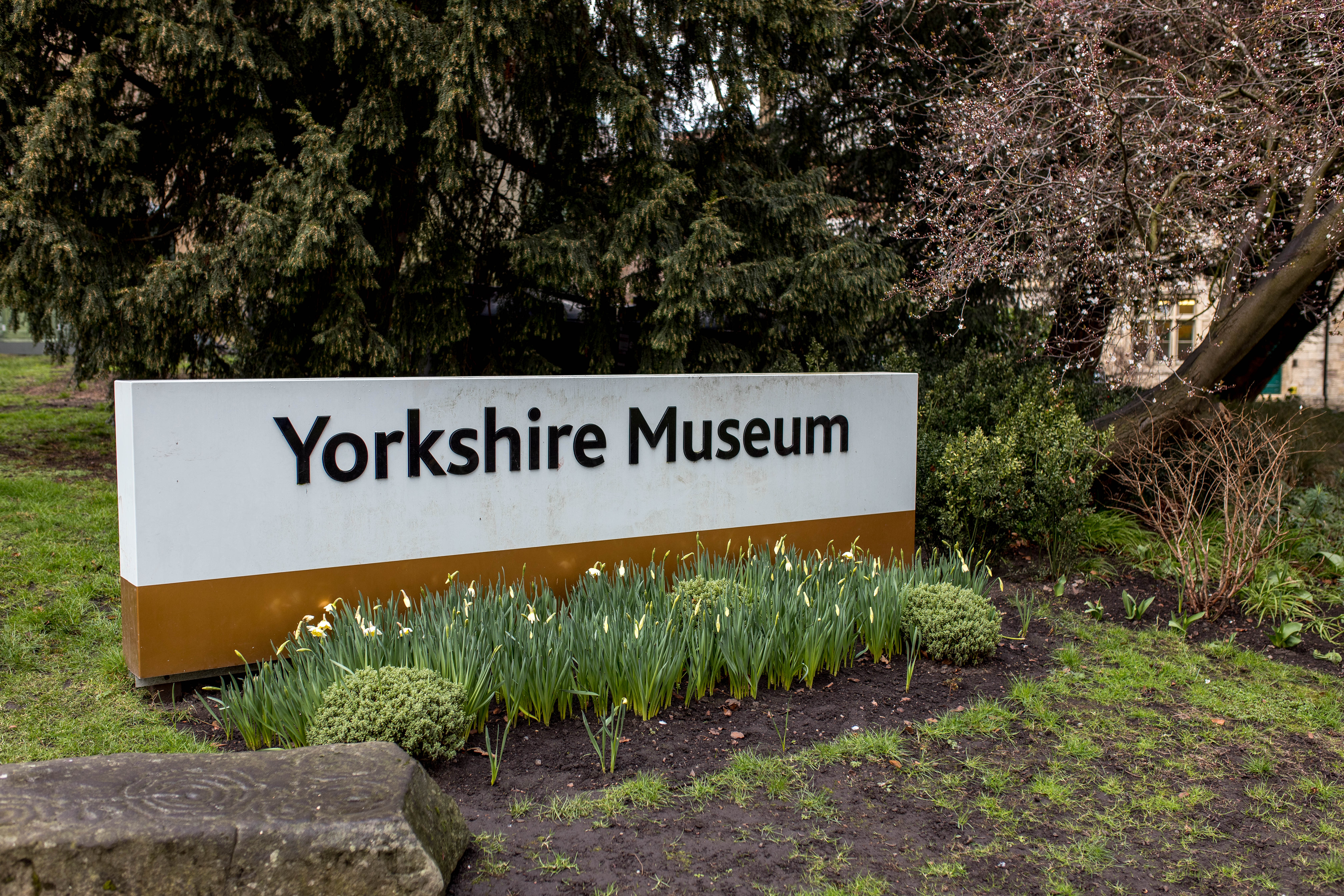 York 511