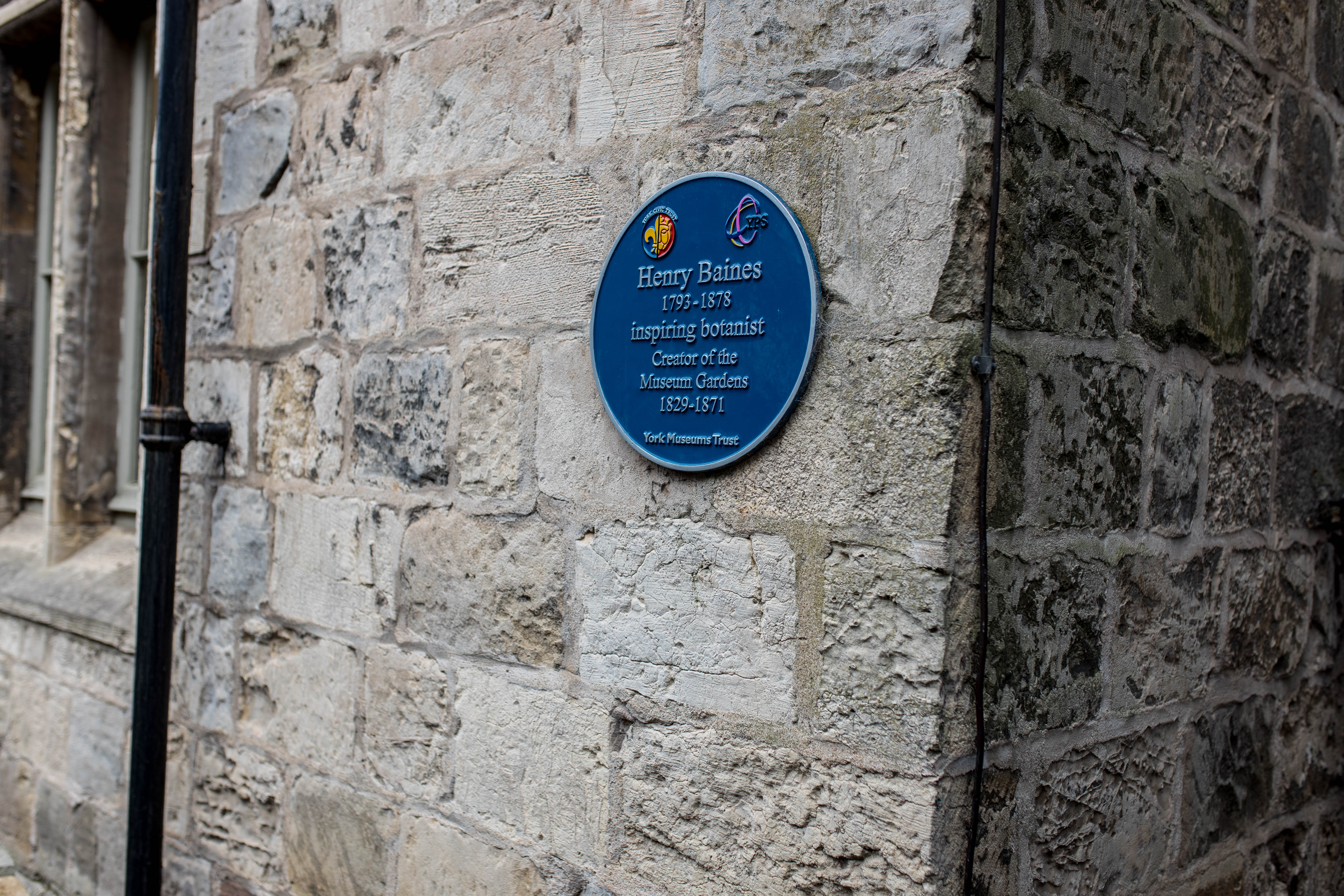 York 515