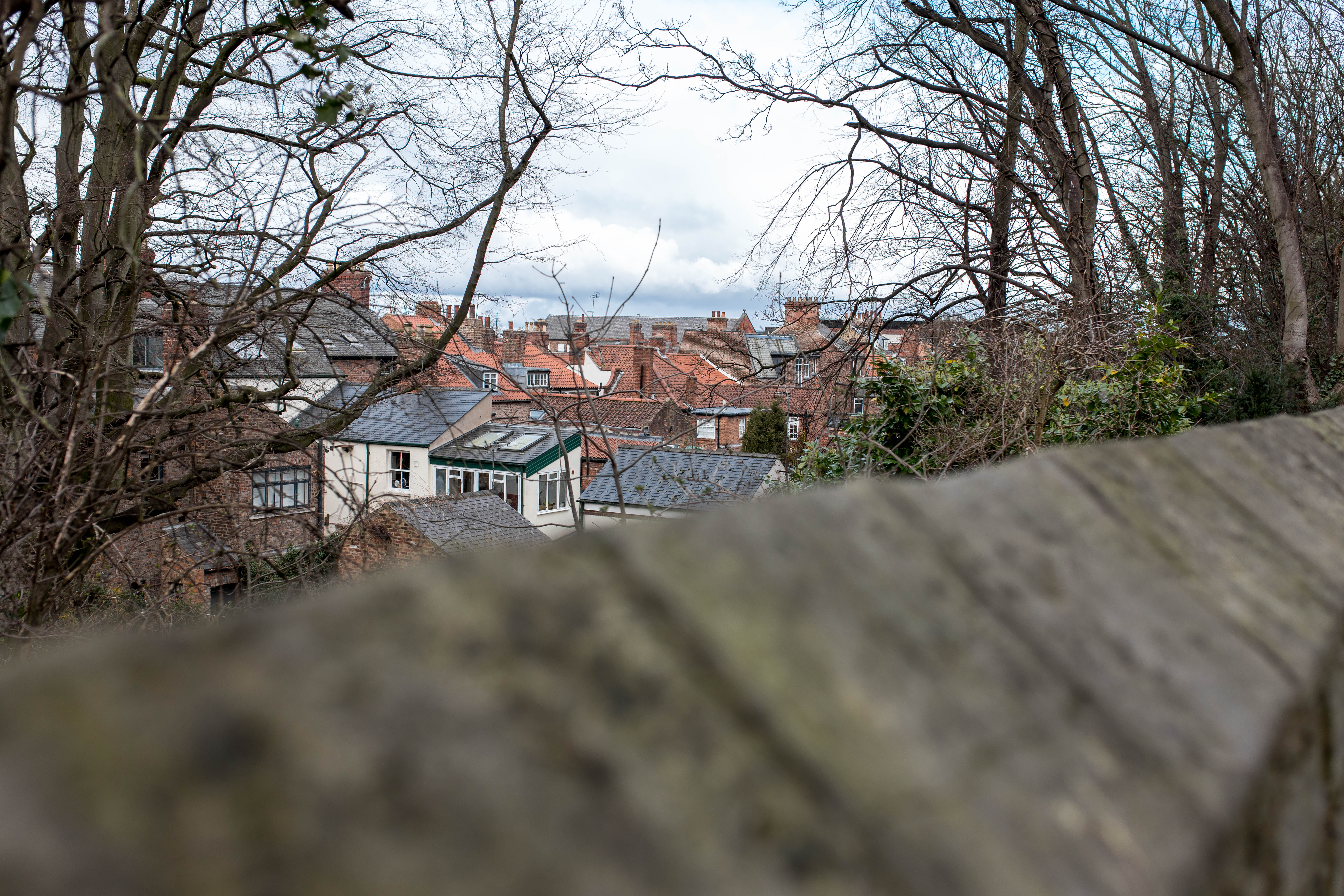 York 539