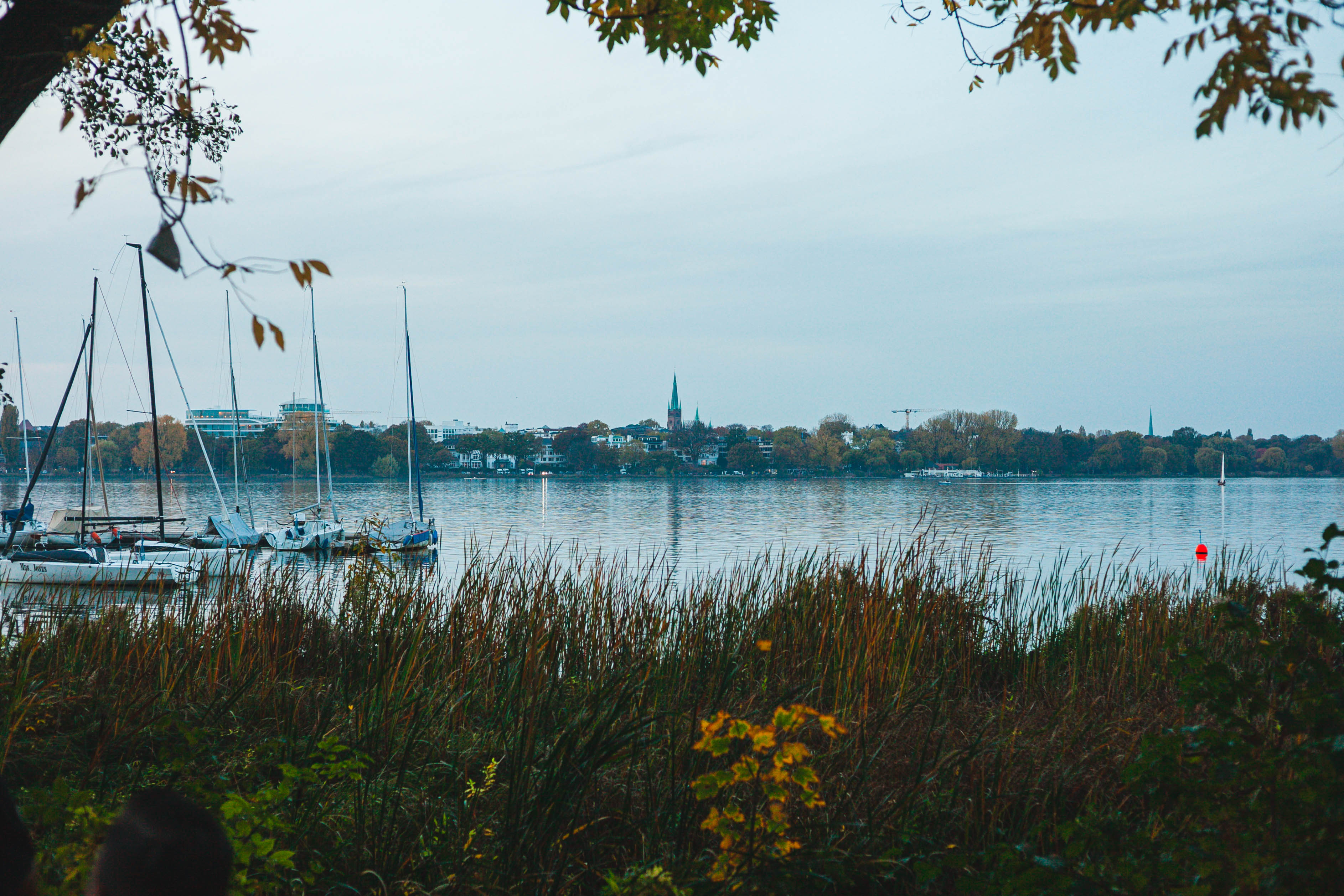 Hamburg 36