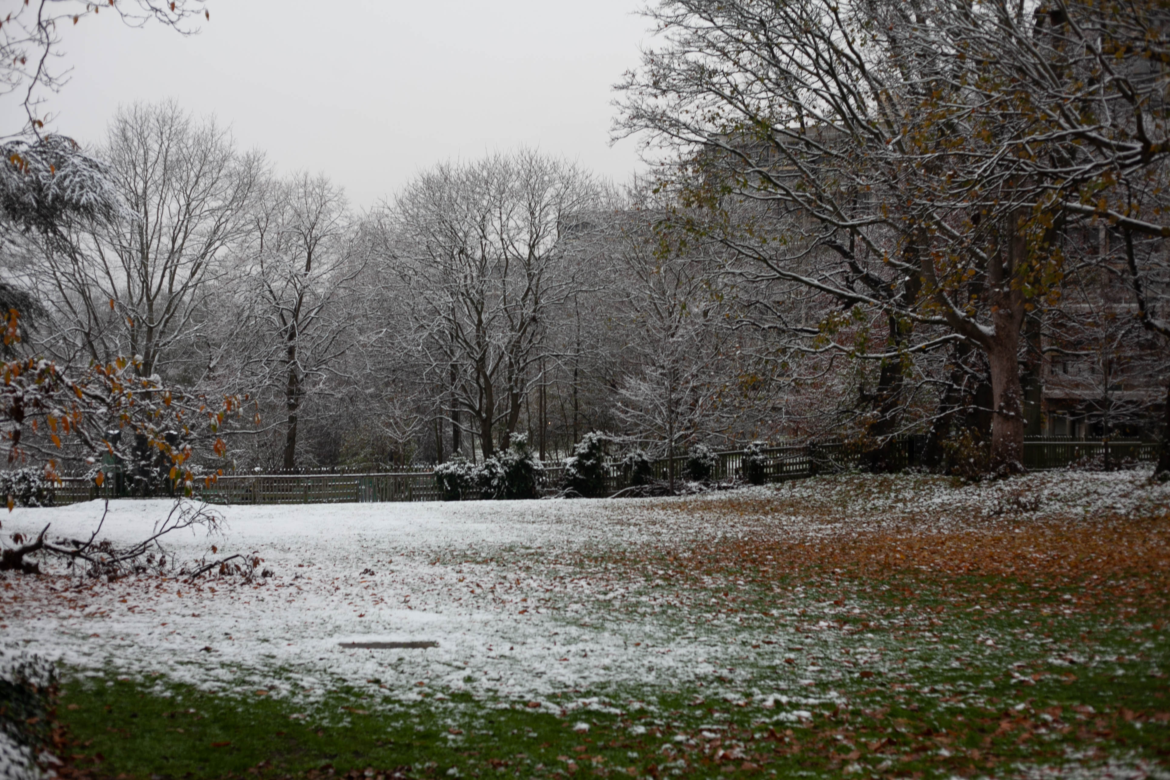 Snow in Roehampton 1