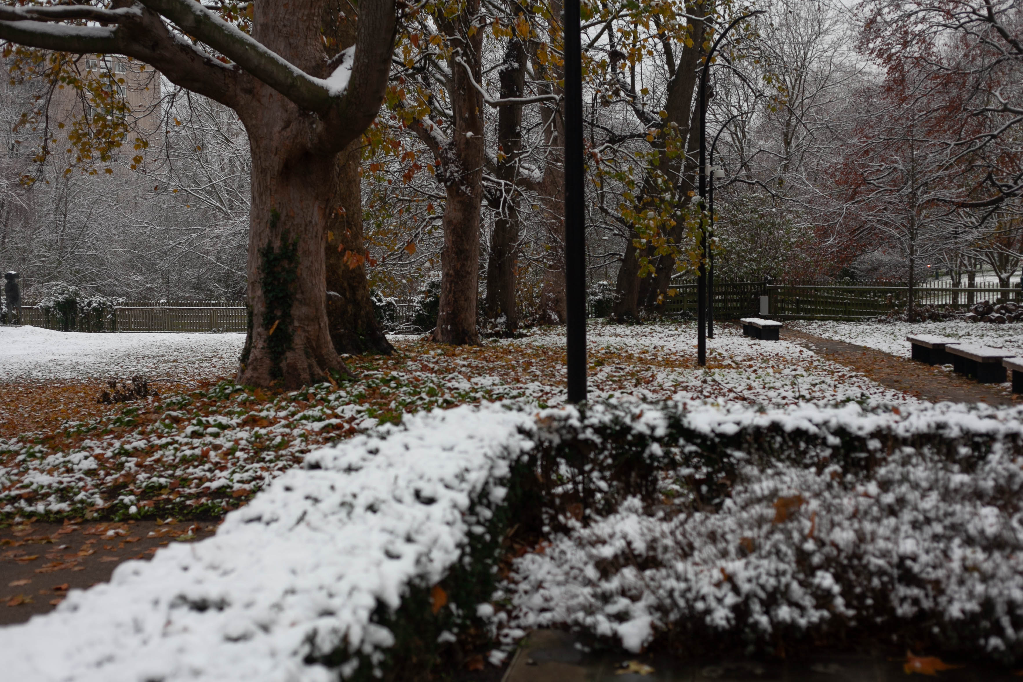 Snow in Roehampton 5