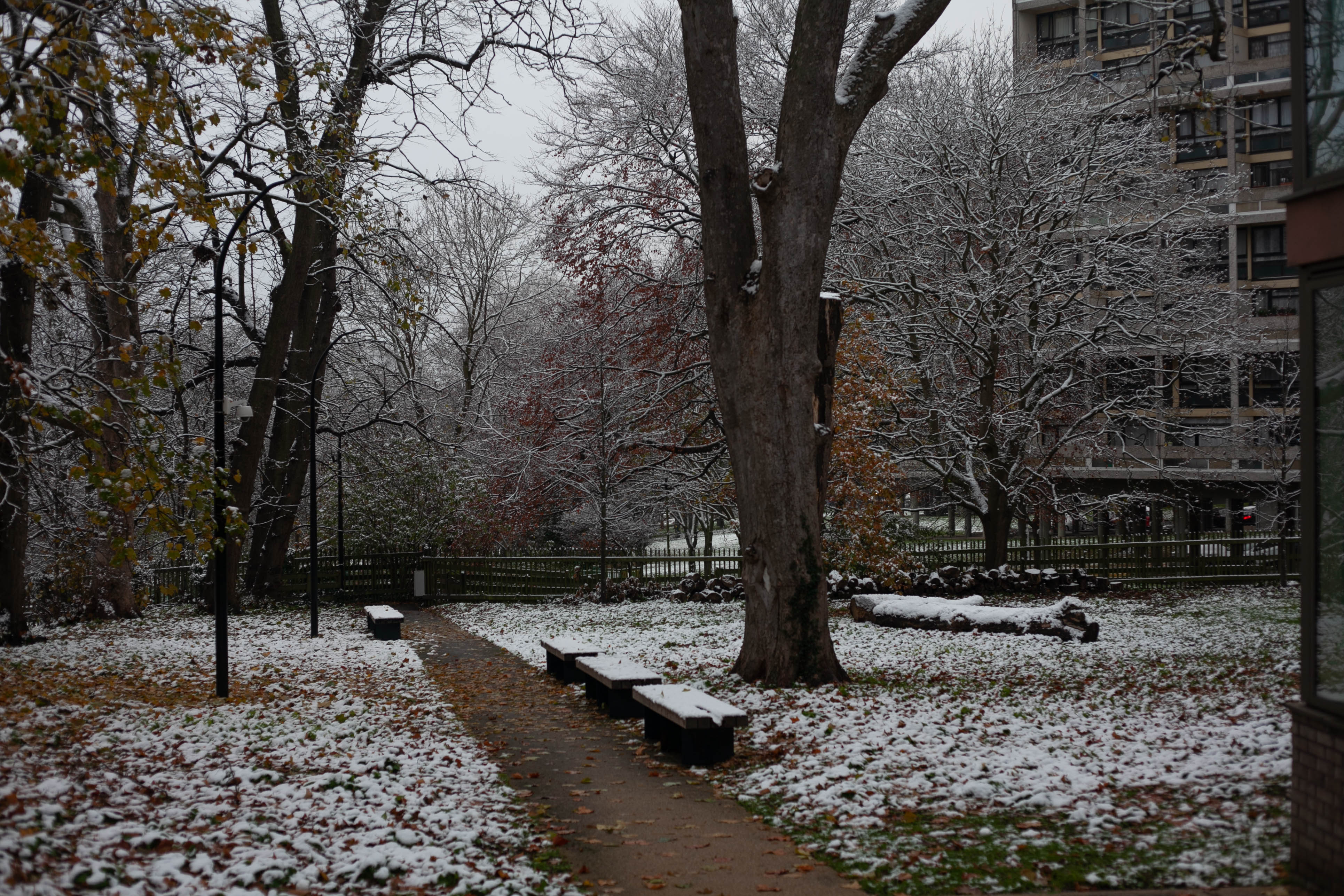 Snow in Roehampton 6