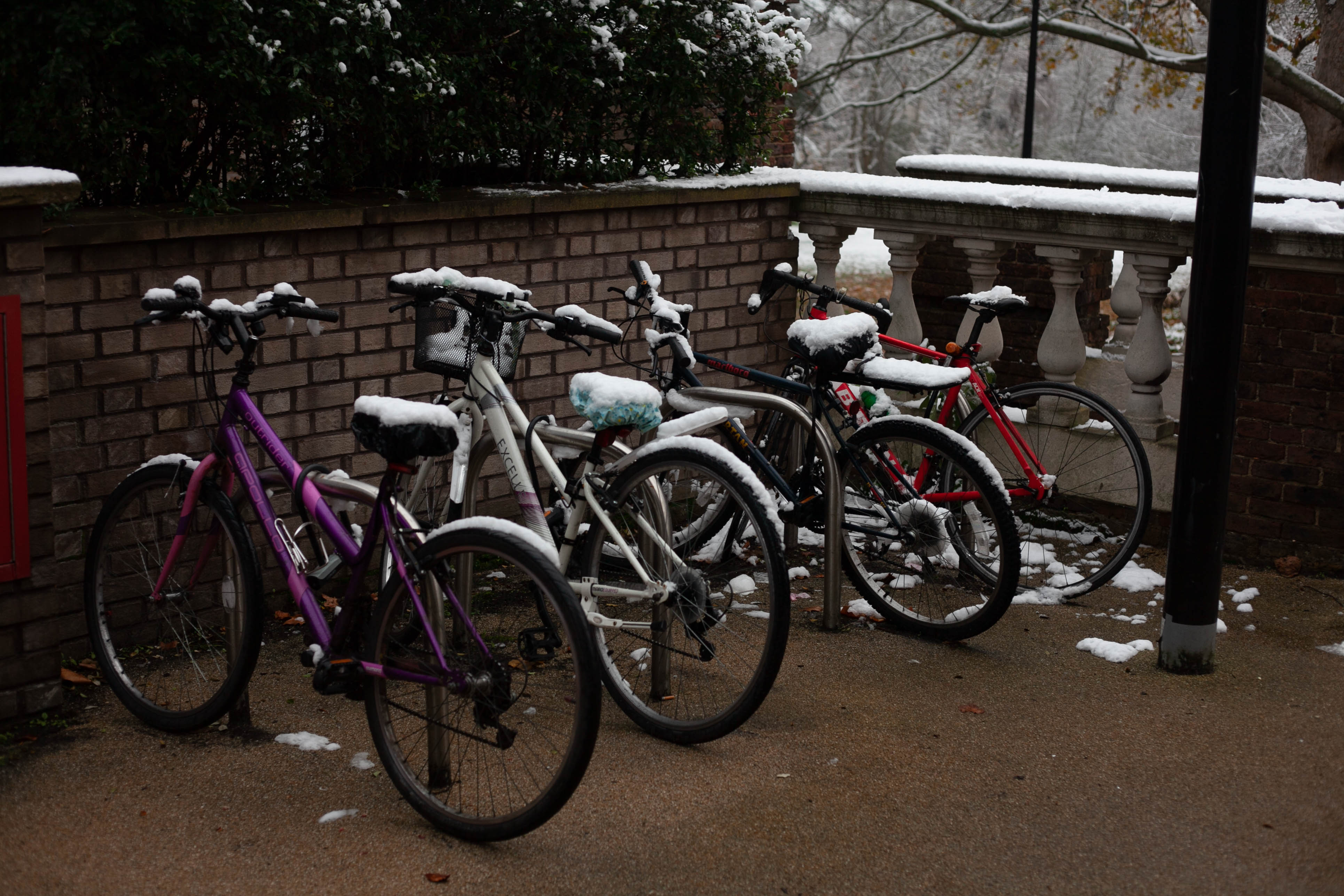 Snow in Roehampton 8