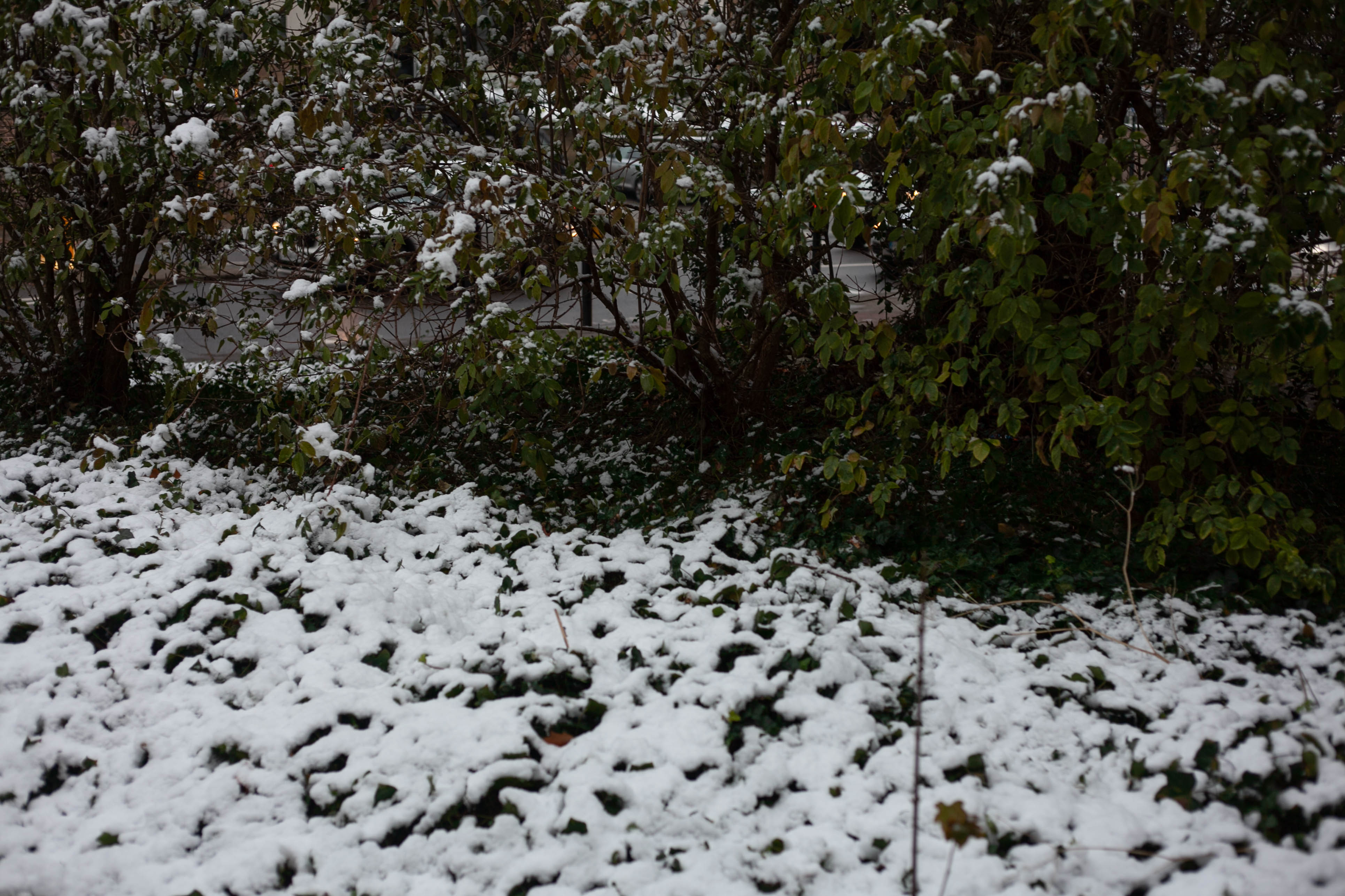 Snow in Roehampton 9