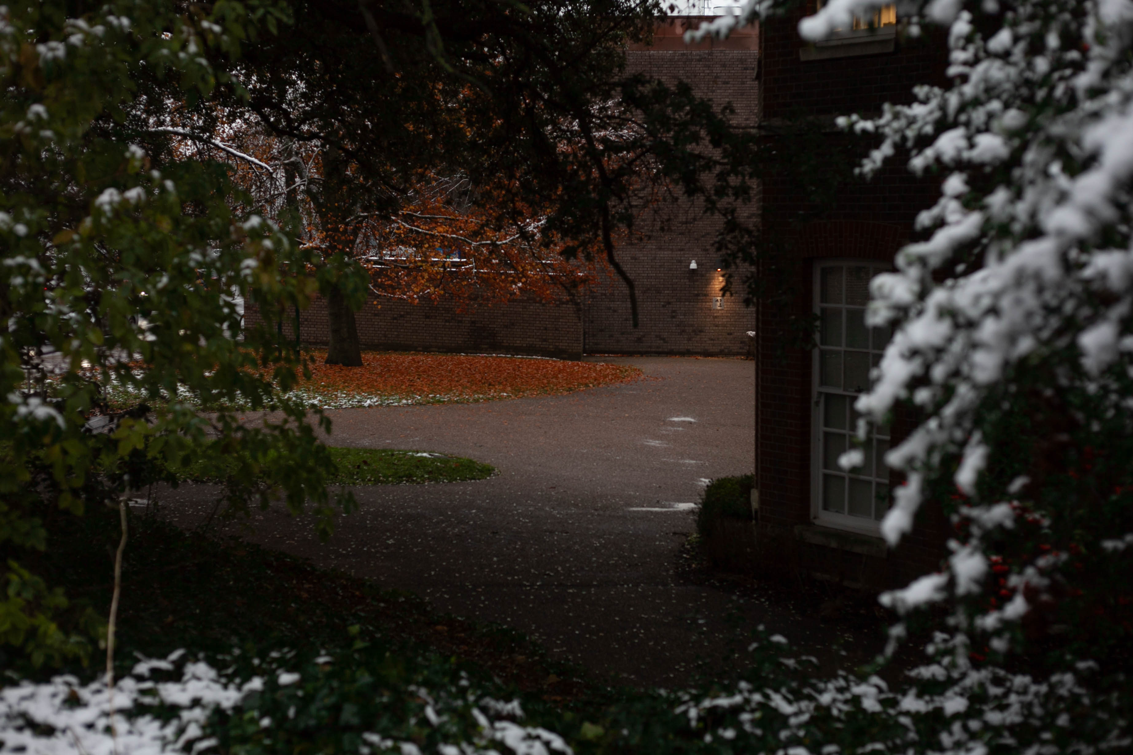 Snow in Roehampton 10