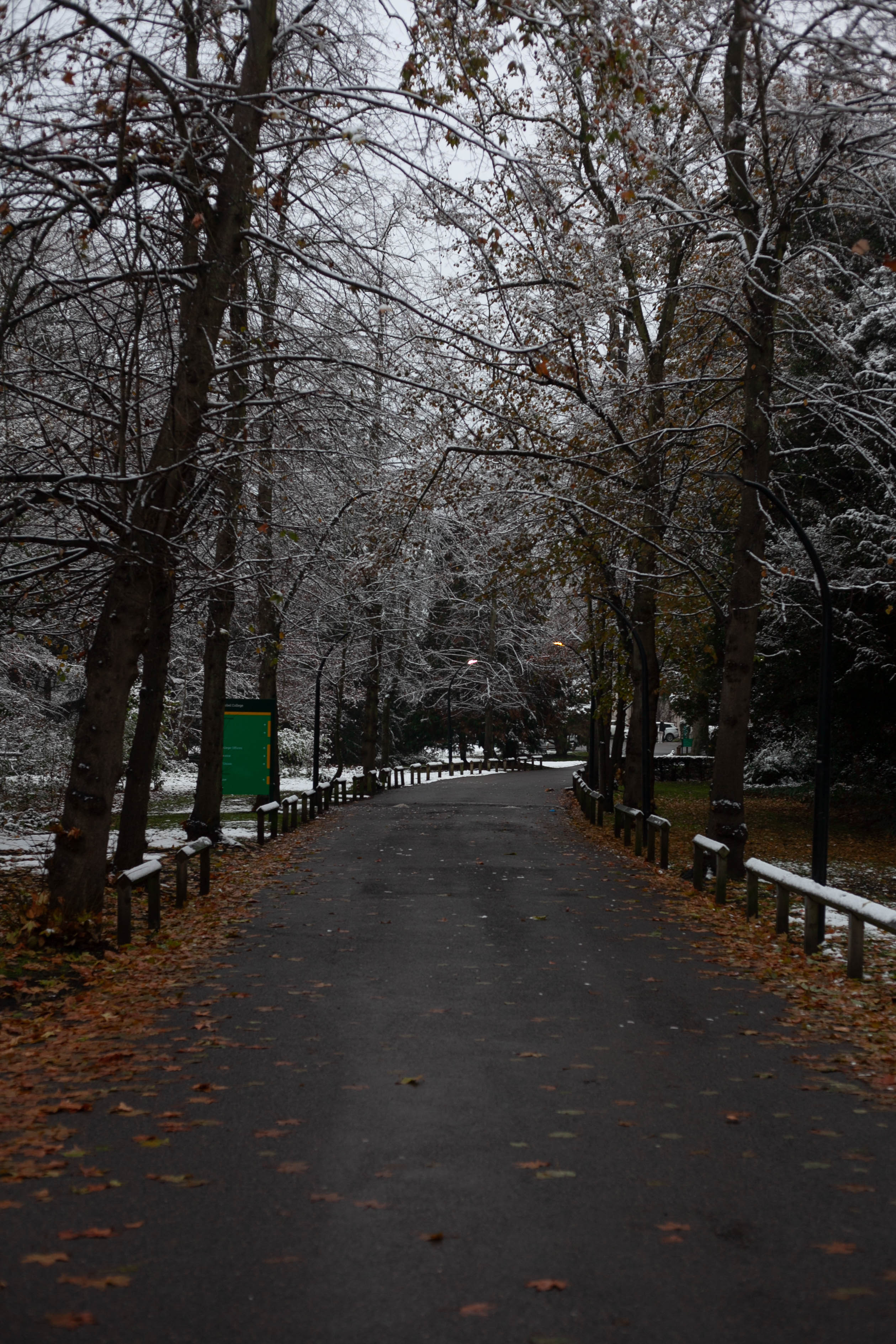 Snow in Roehampton 17