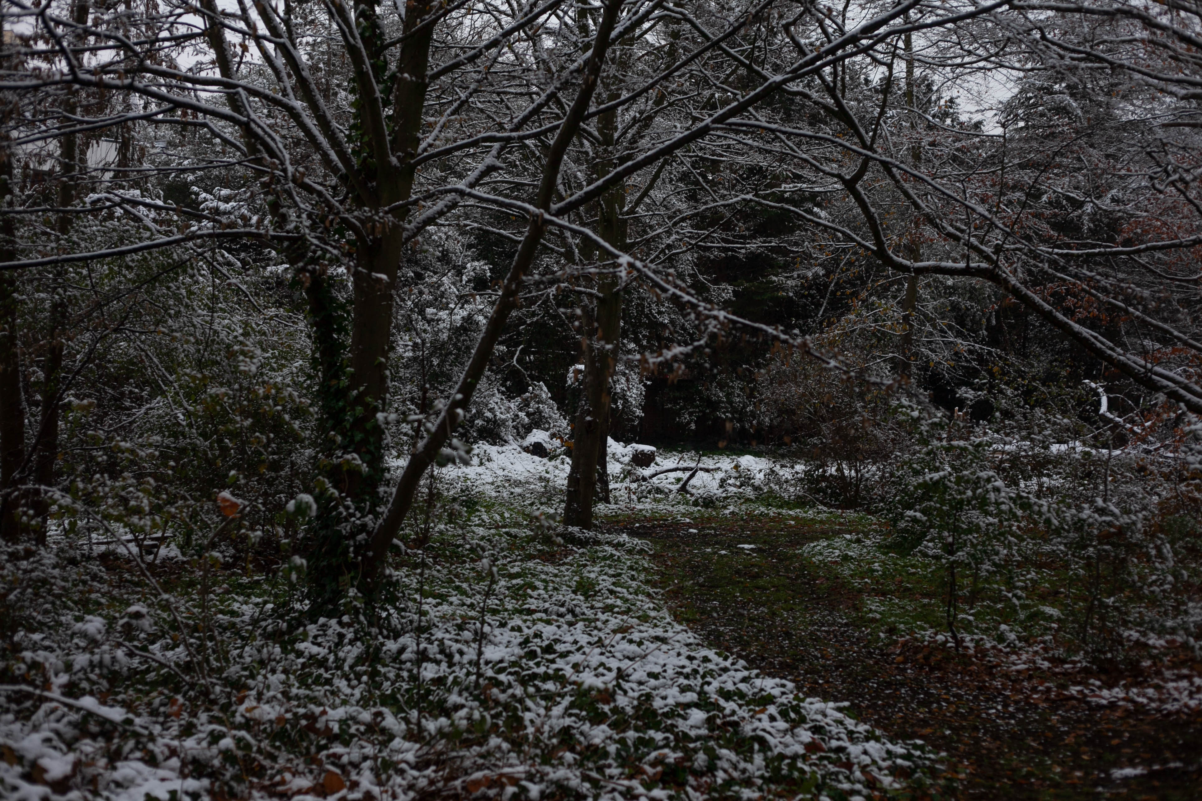 Snow in Roehampton 20
