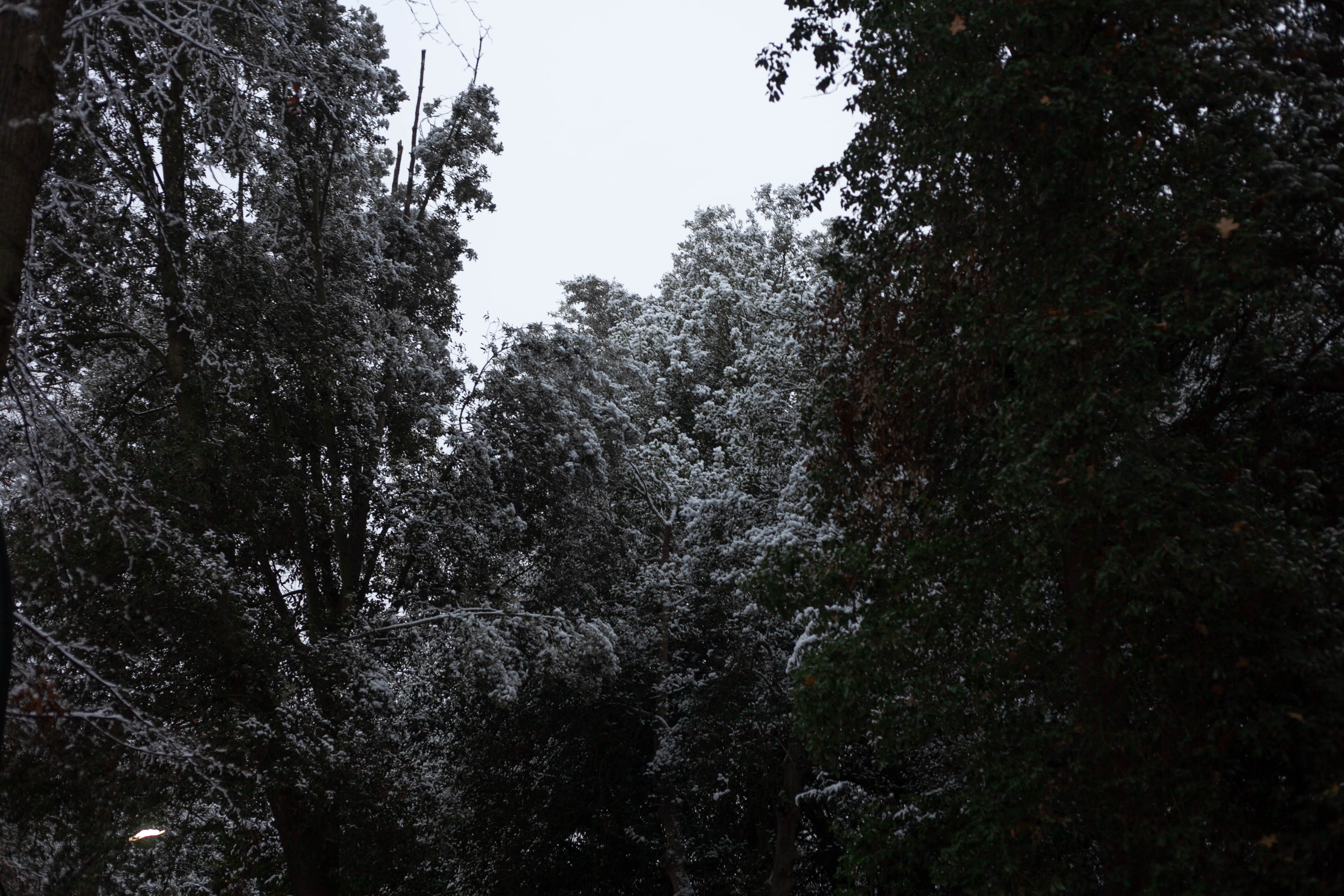 Snow in Roehampton 23