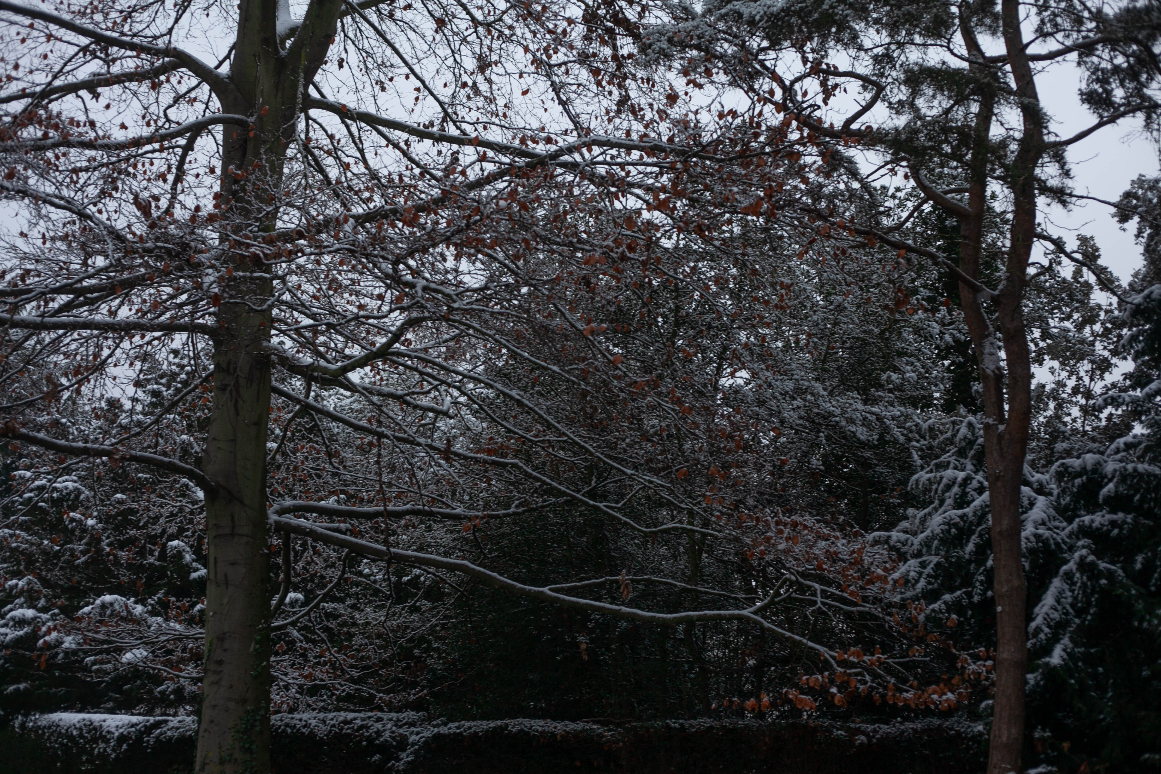 Snow in Roehampton 25