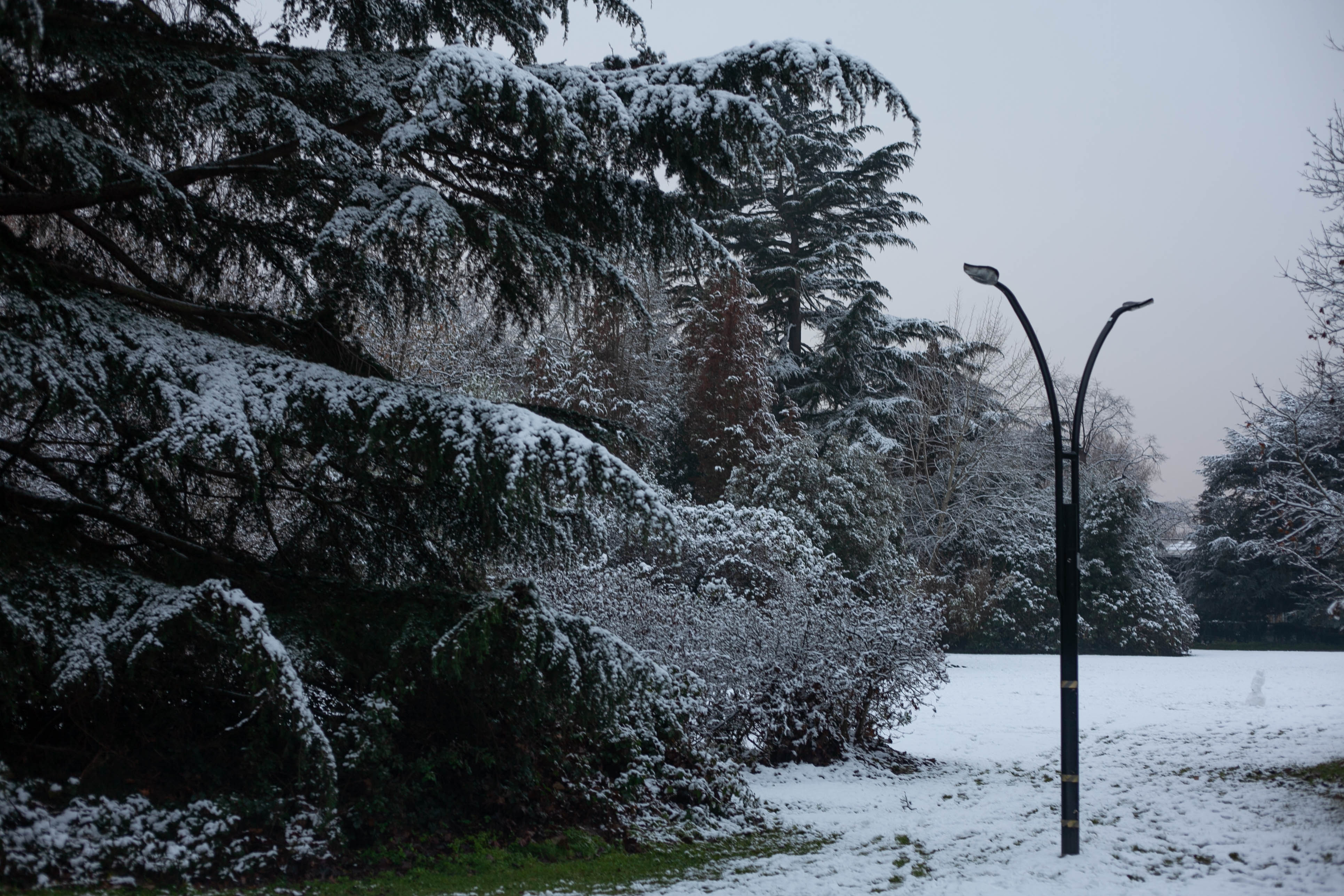 Snow in Roehampton 27
