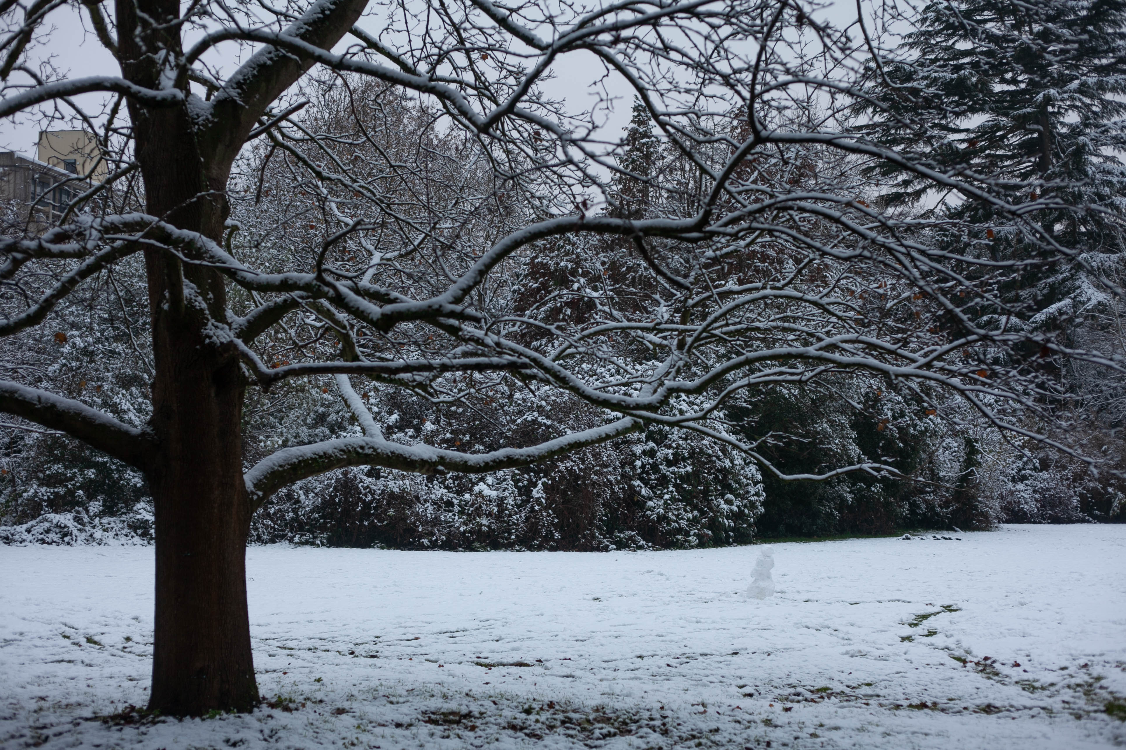 Snow in Roehampton 28