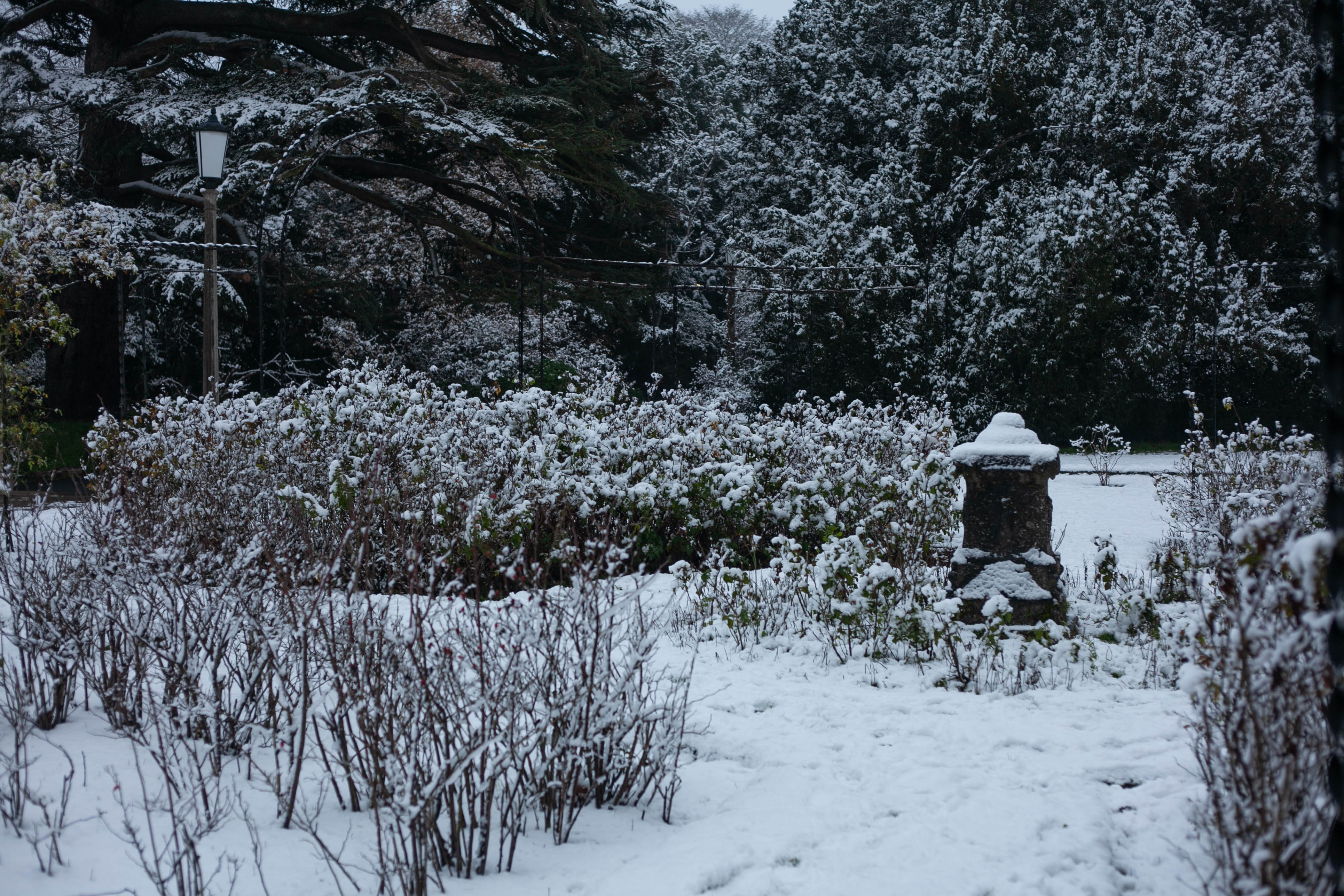 Snow in Roehampton 31
