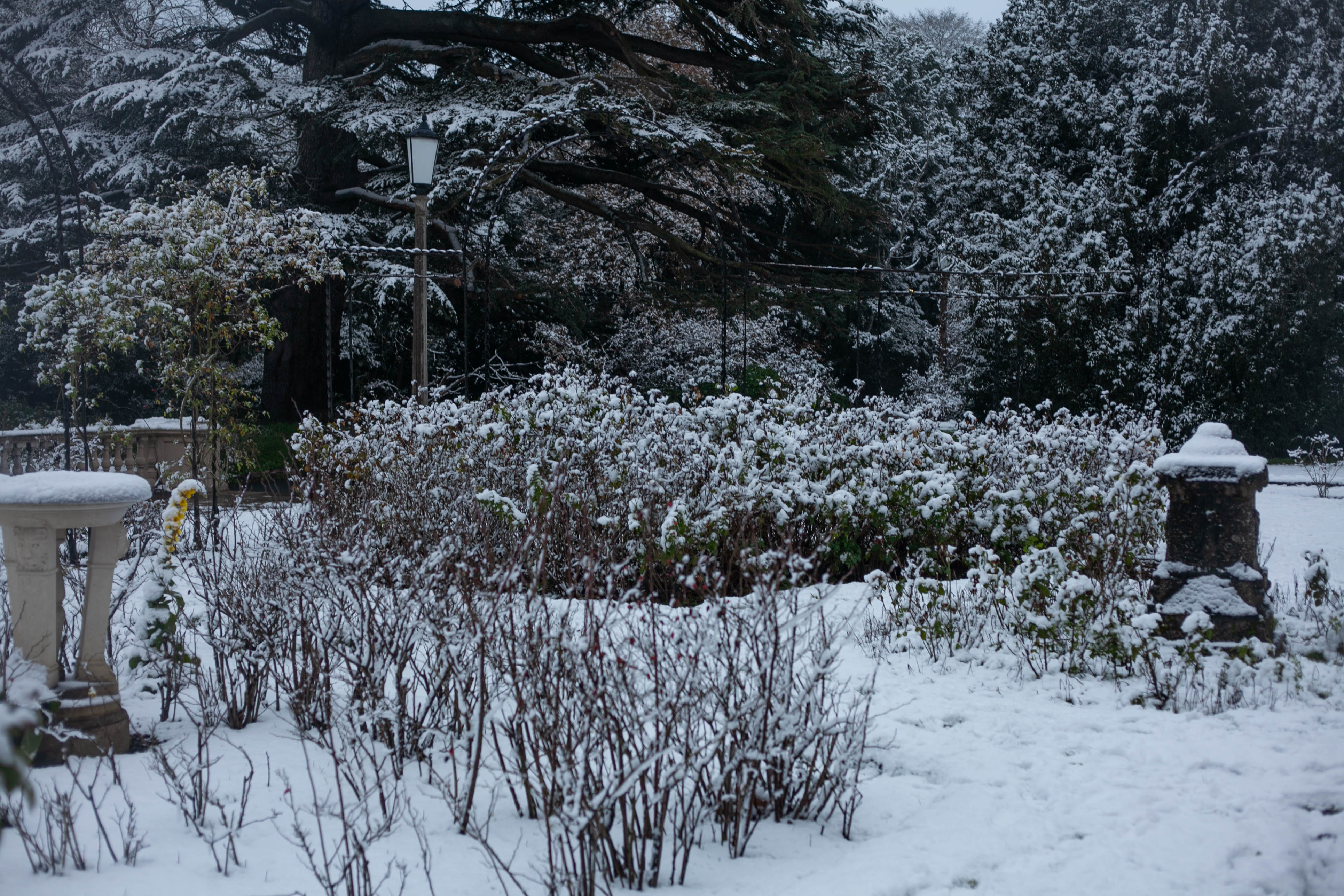 Snow in Roehampton 32