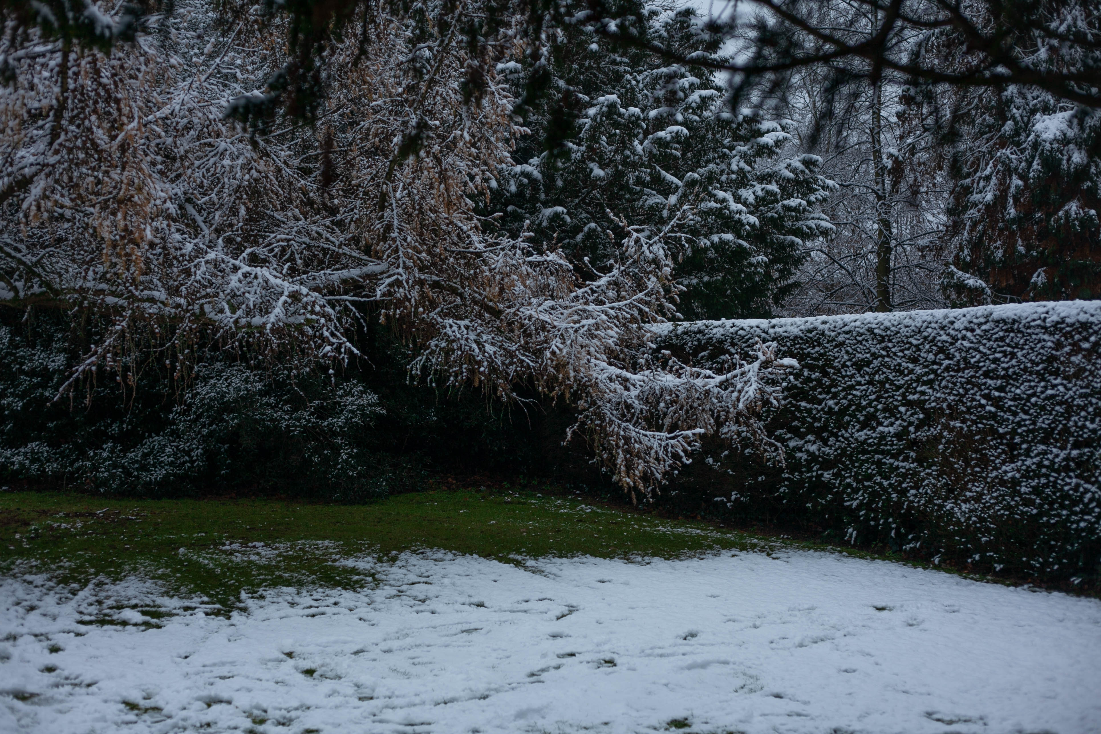 Snow in Roehampton 33