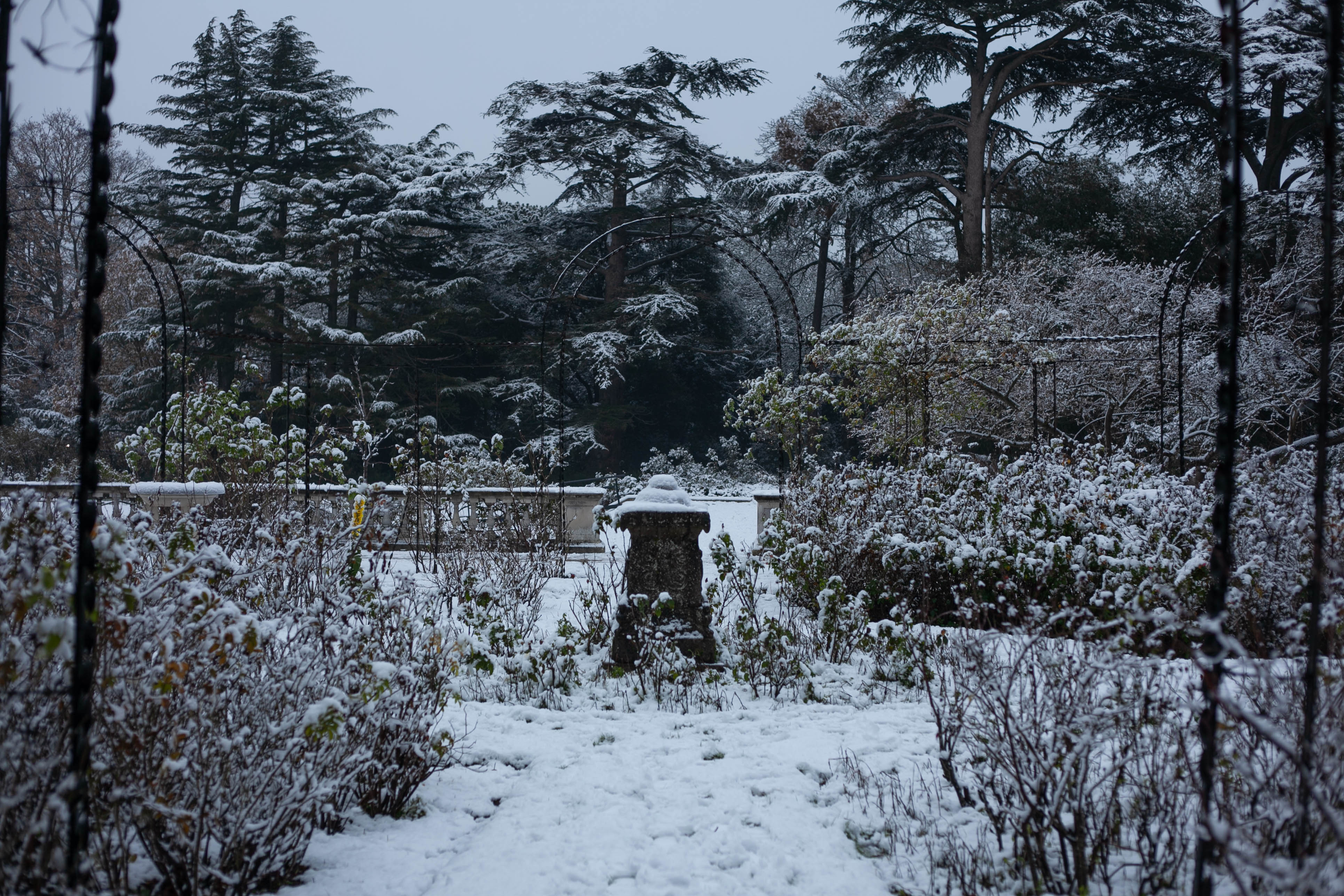 Snow in Roehampton 34