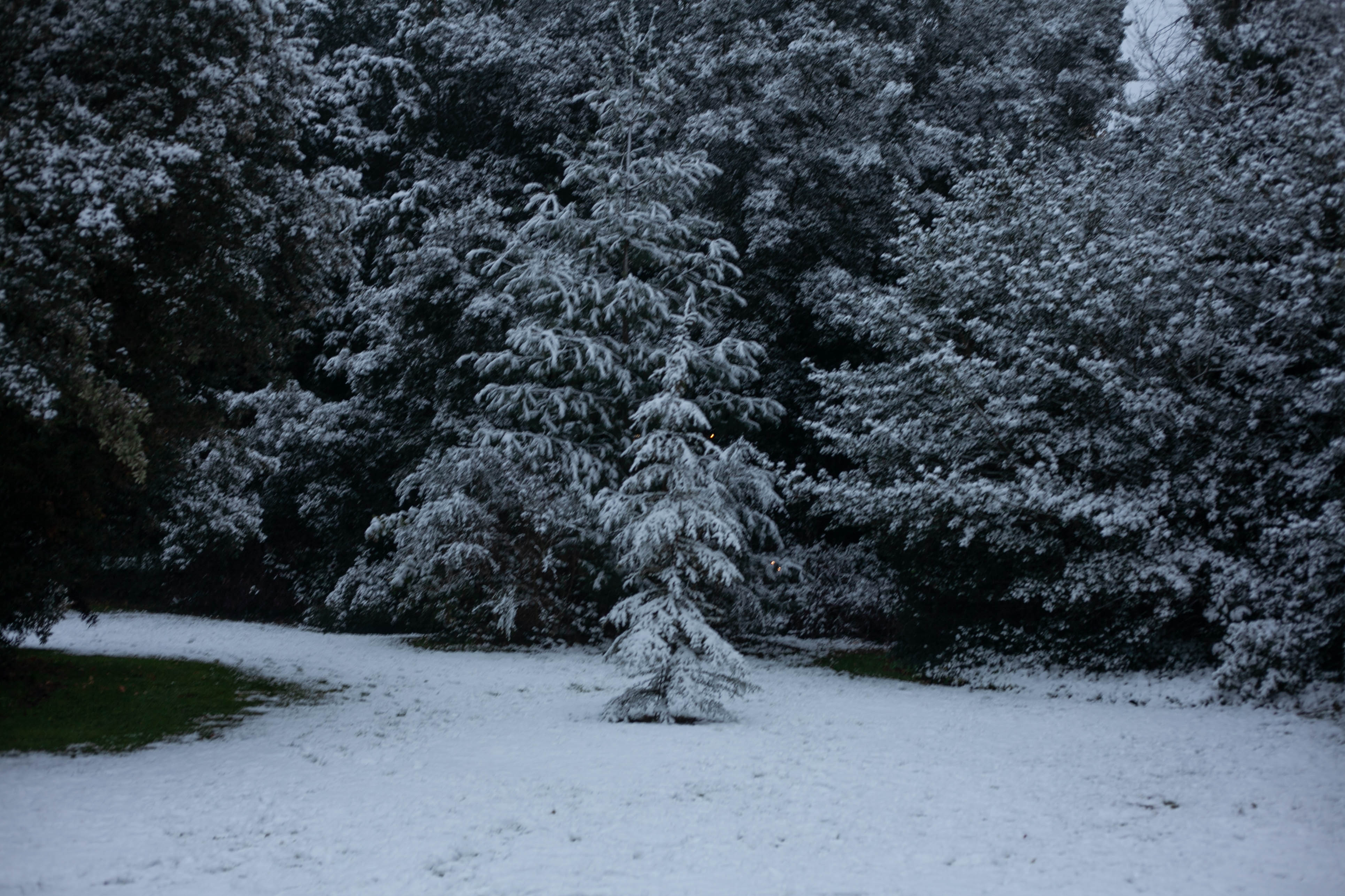 Snow in Roehampton 37
