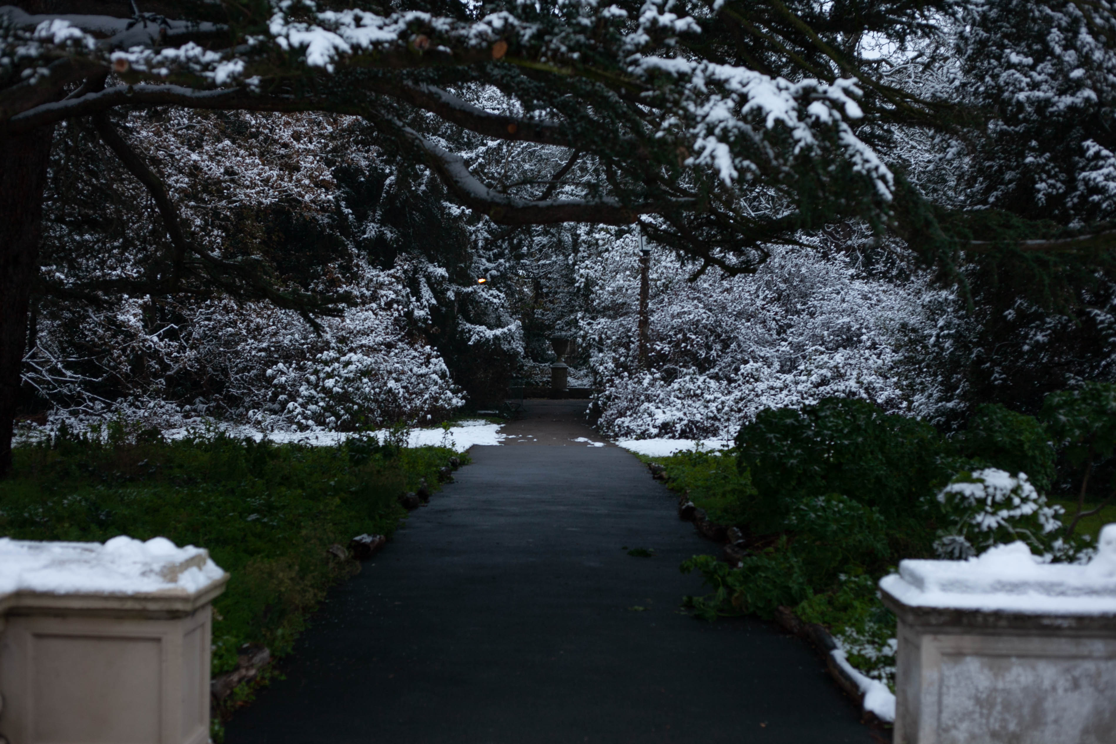 Snow in Roehampton 39