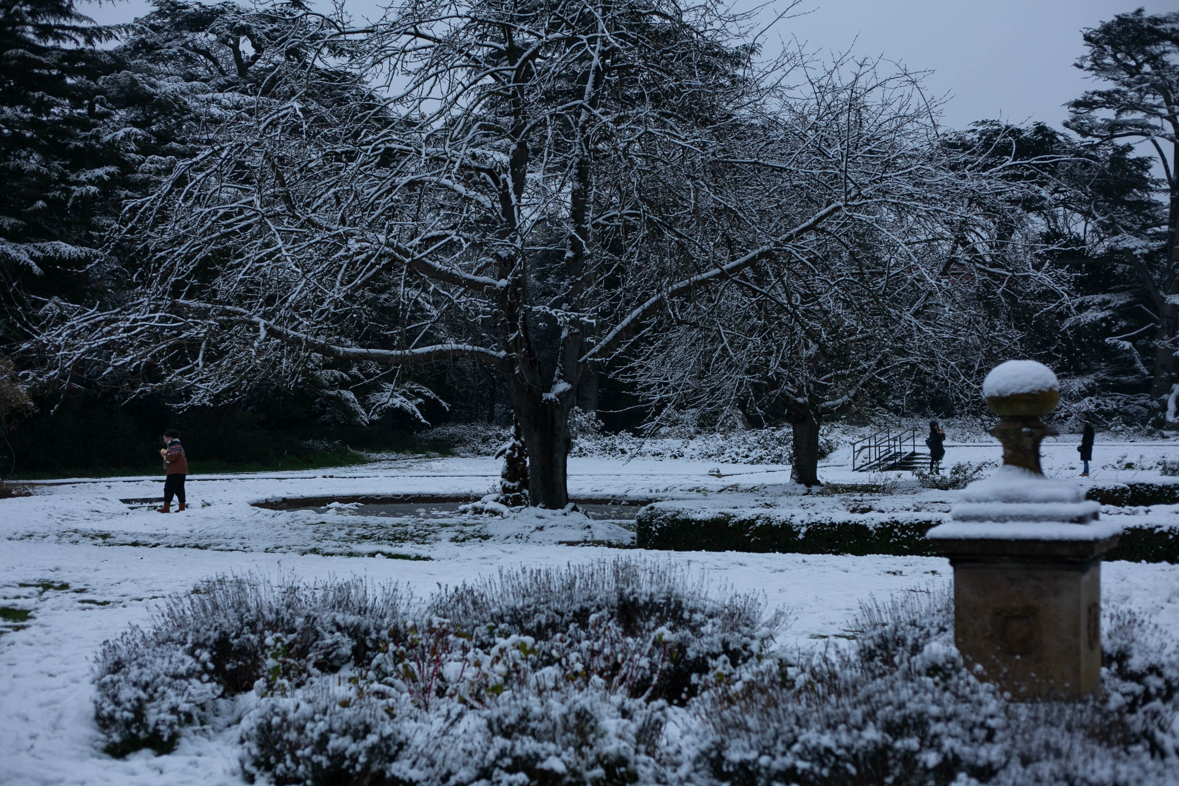 Snow in Roehampton 47