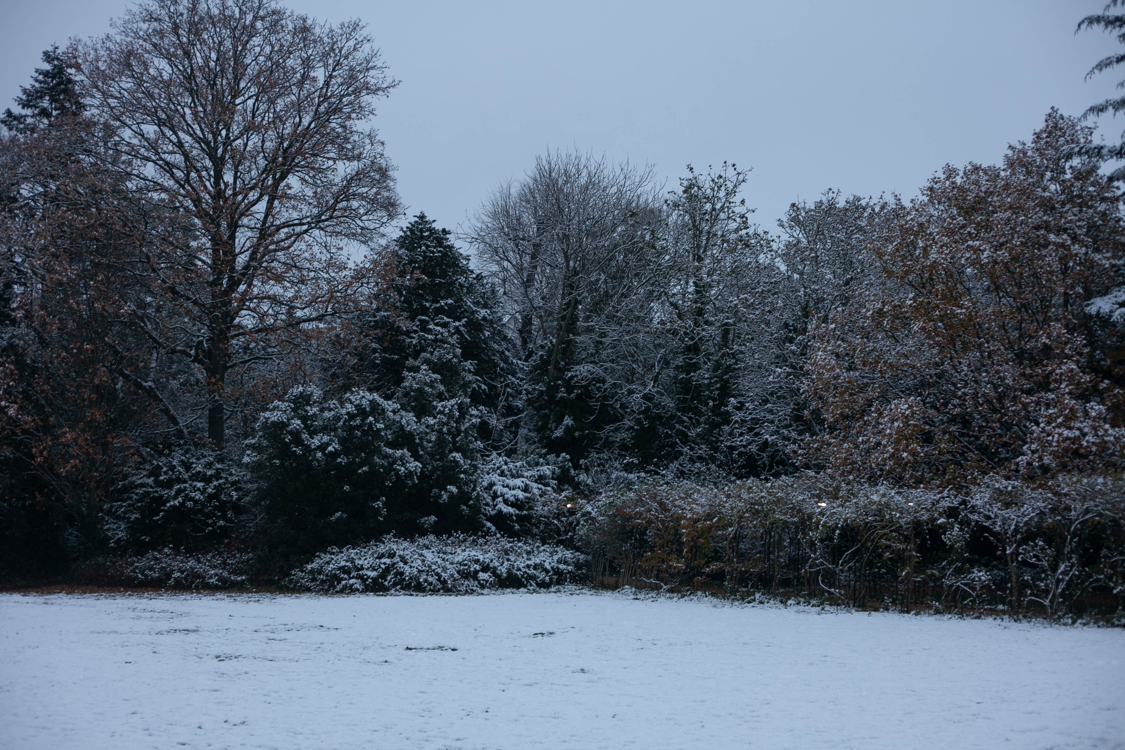 Snow in Roehampton 48