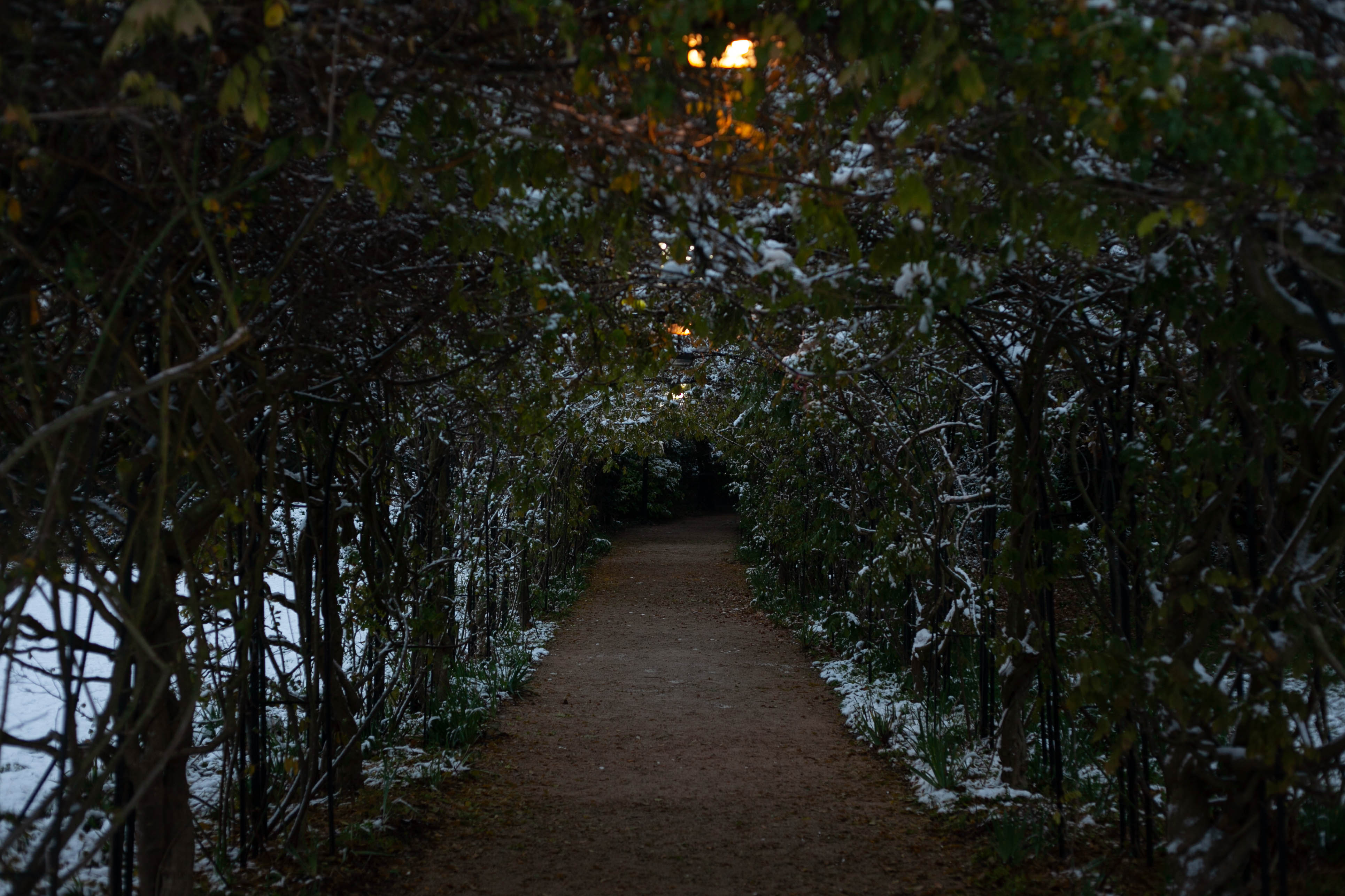 Snow in Roehampton 51