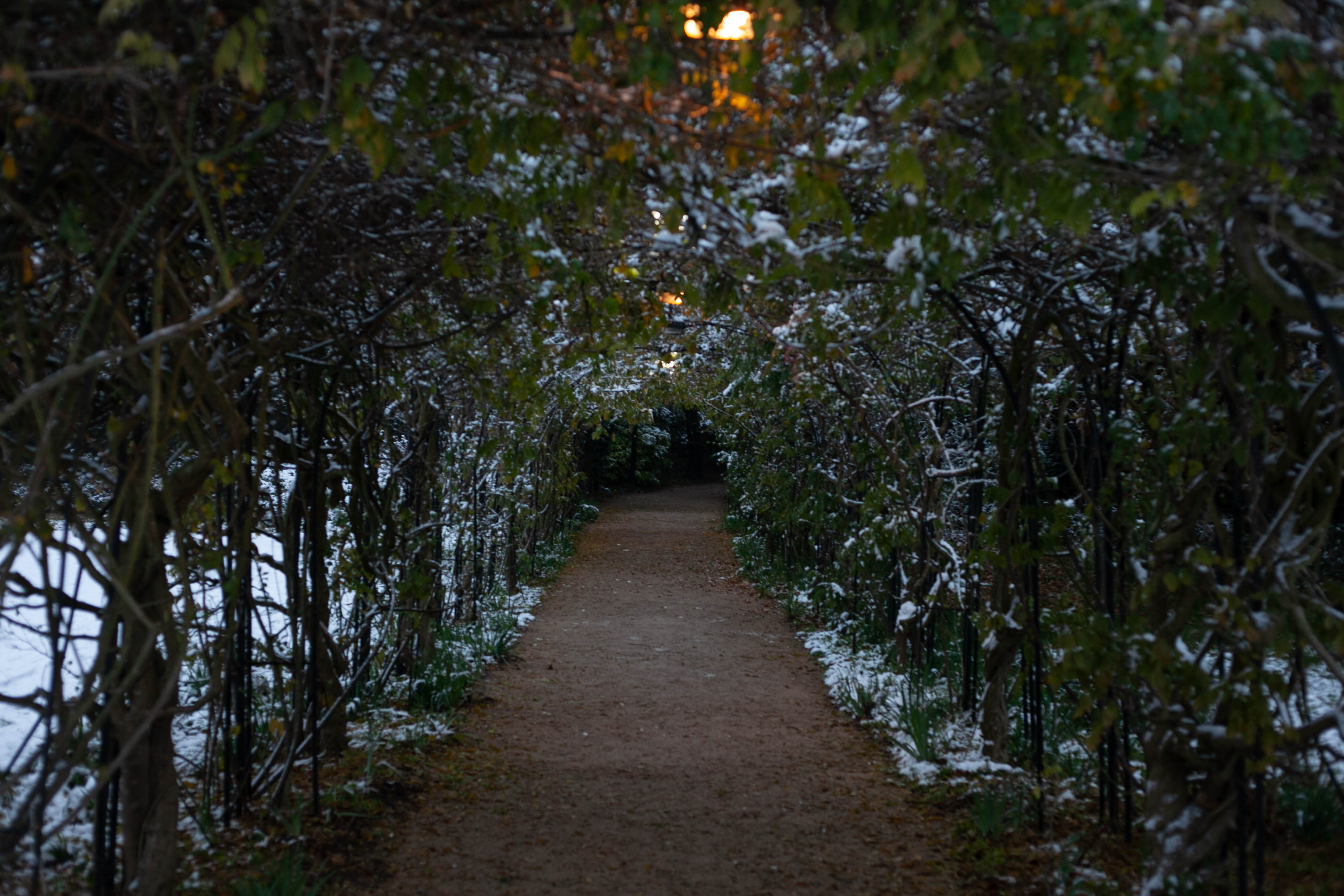 Snow in Roehampton 52