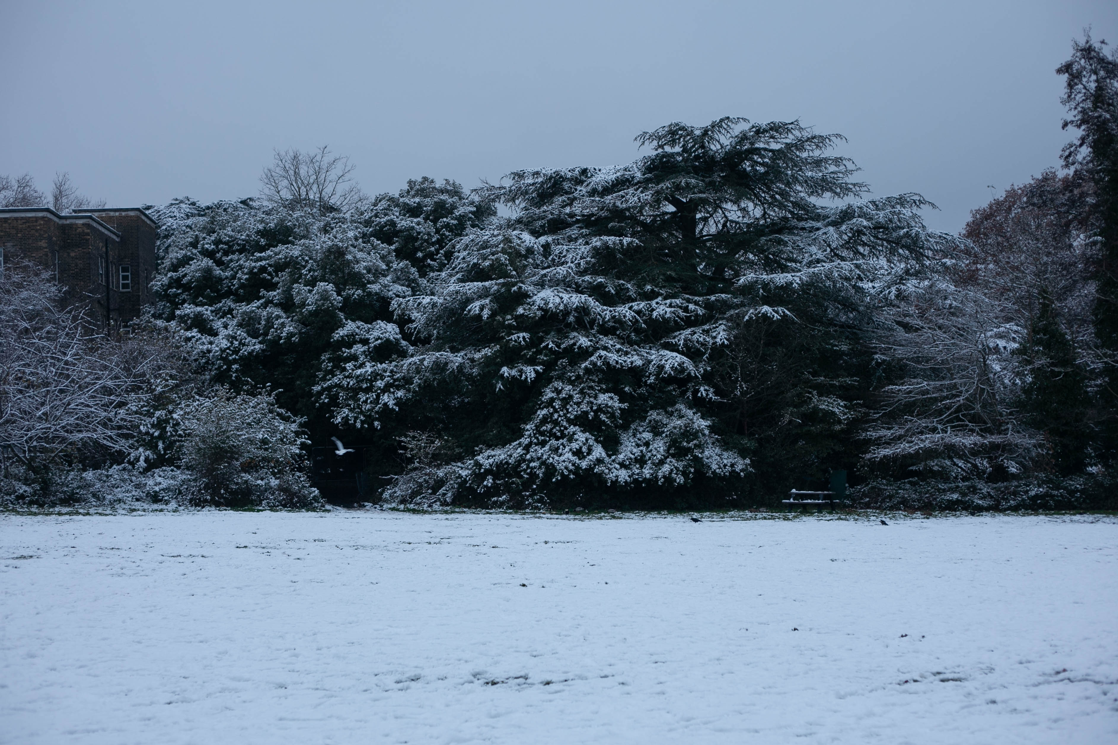Snow in Roehampton 55