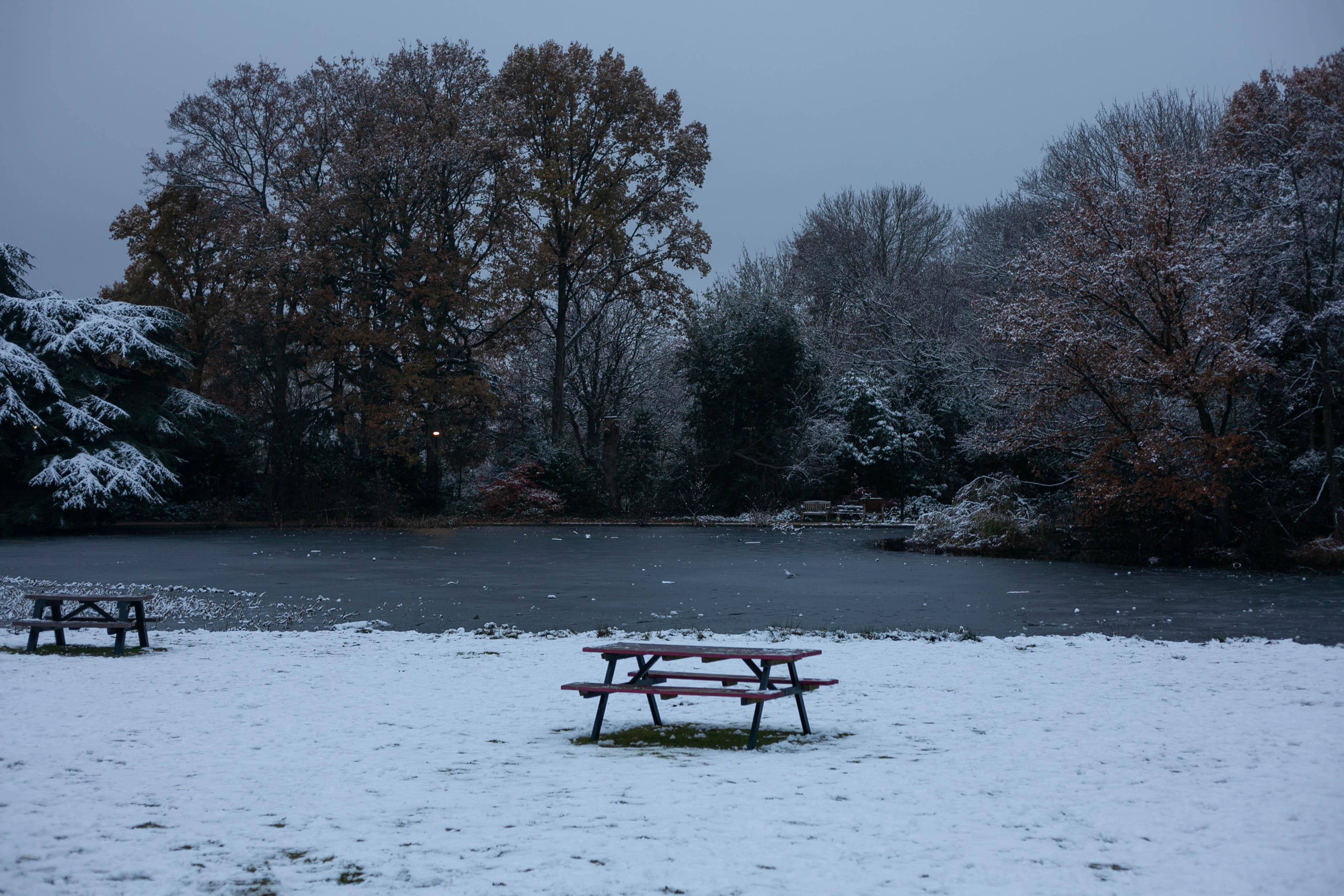 Snow in Roehampton 56