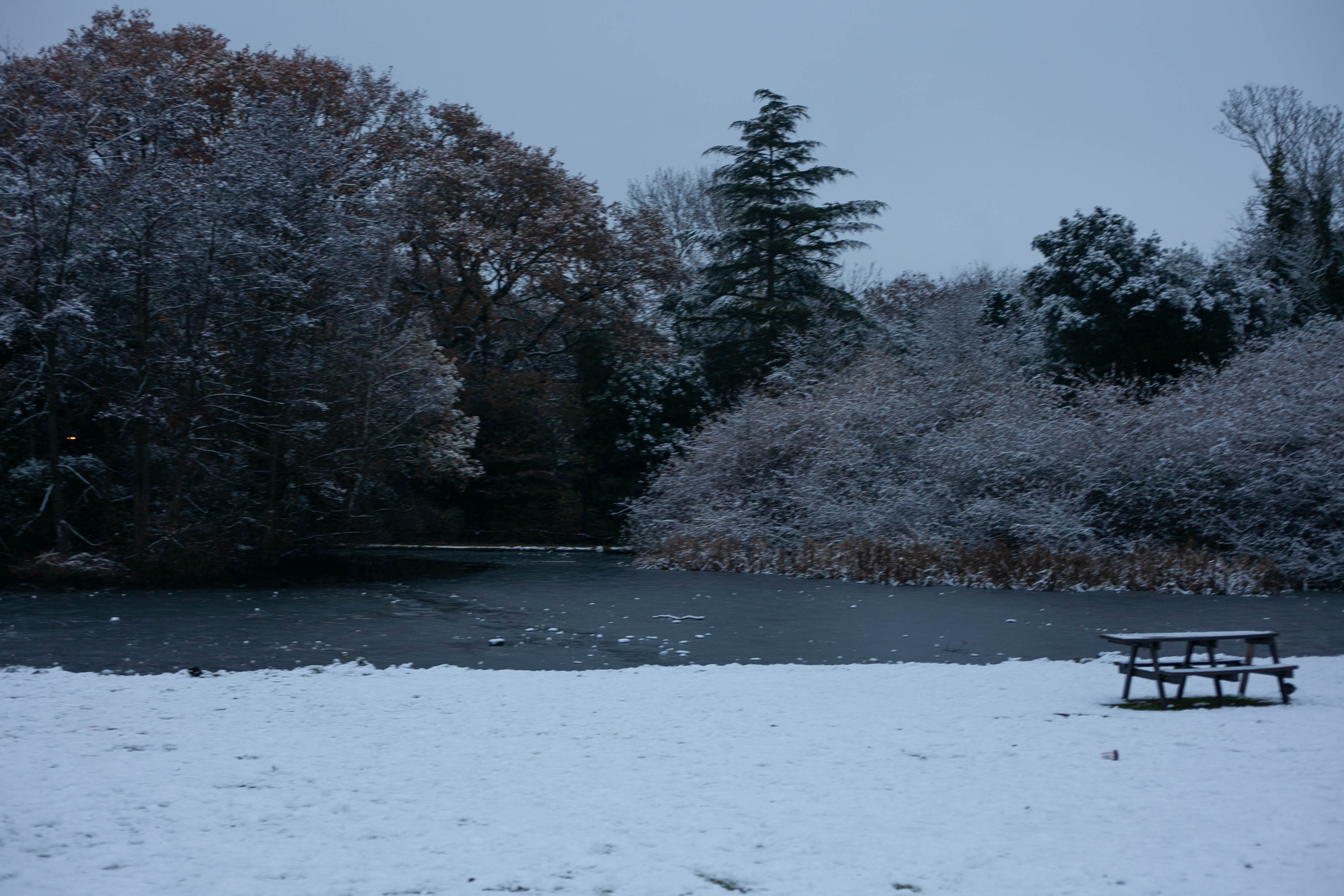 Snow in Roehampton 57