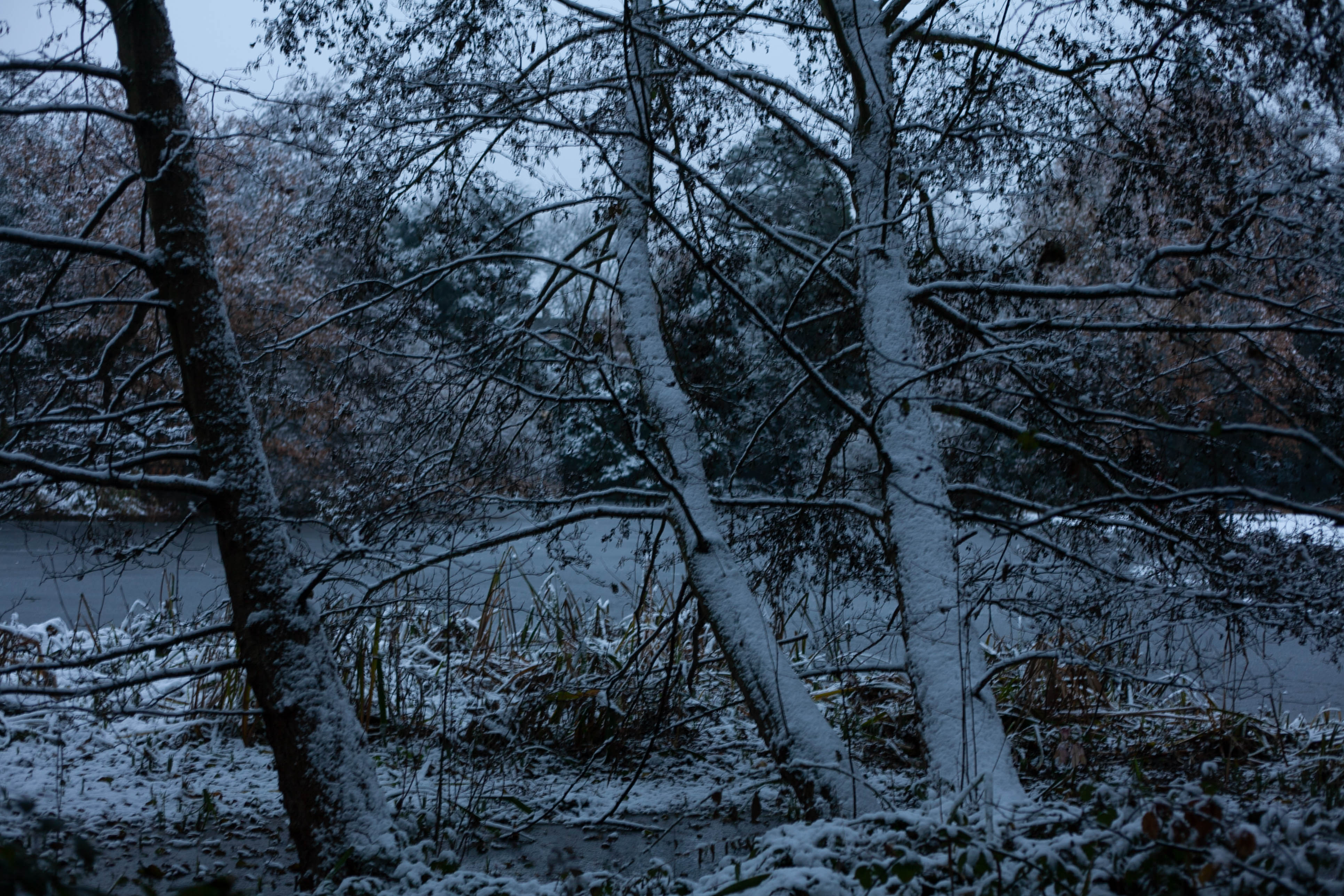 Snow in Roehampton 68