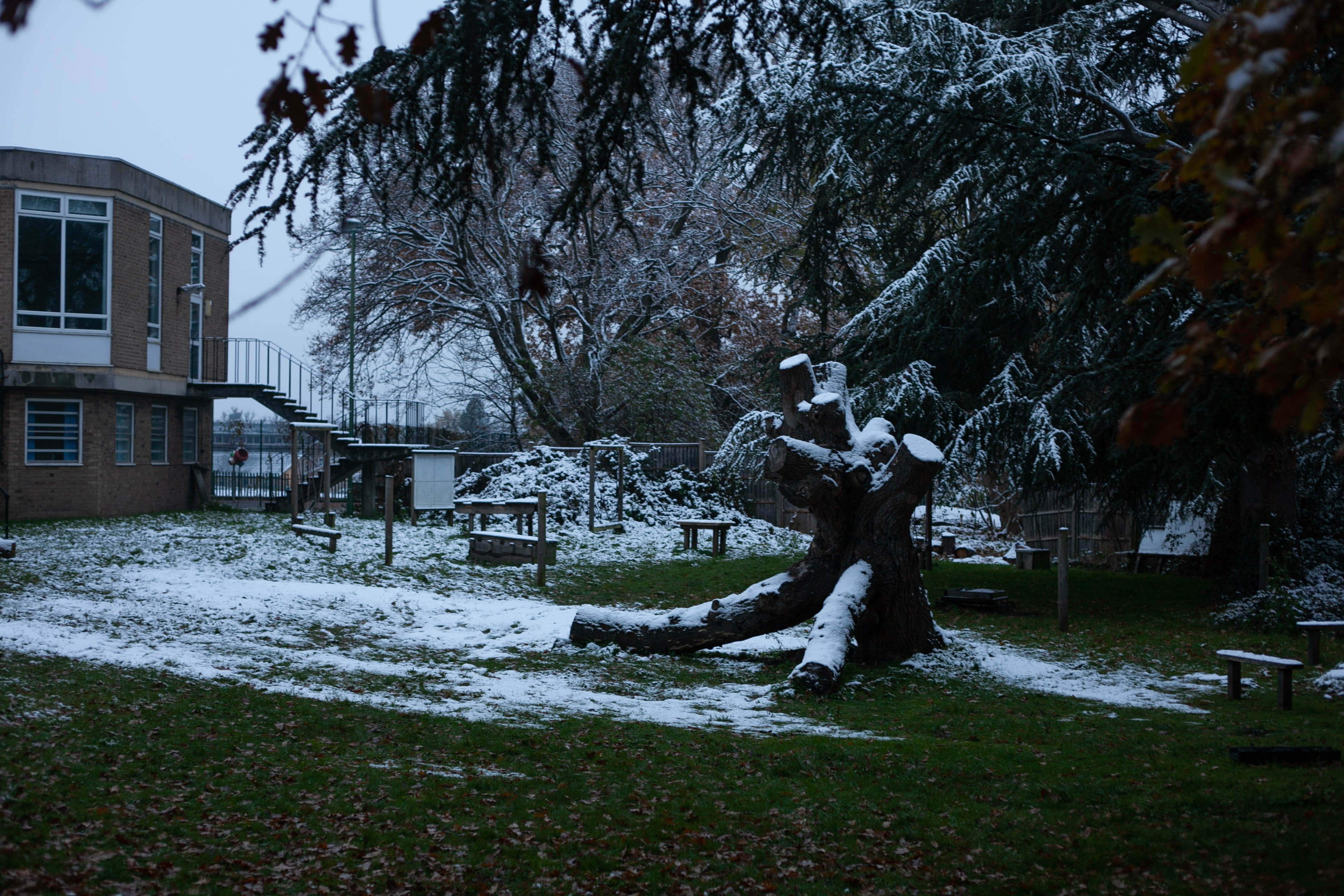 Snow in Roehampton 69