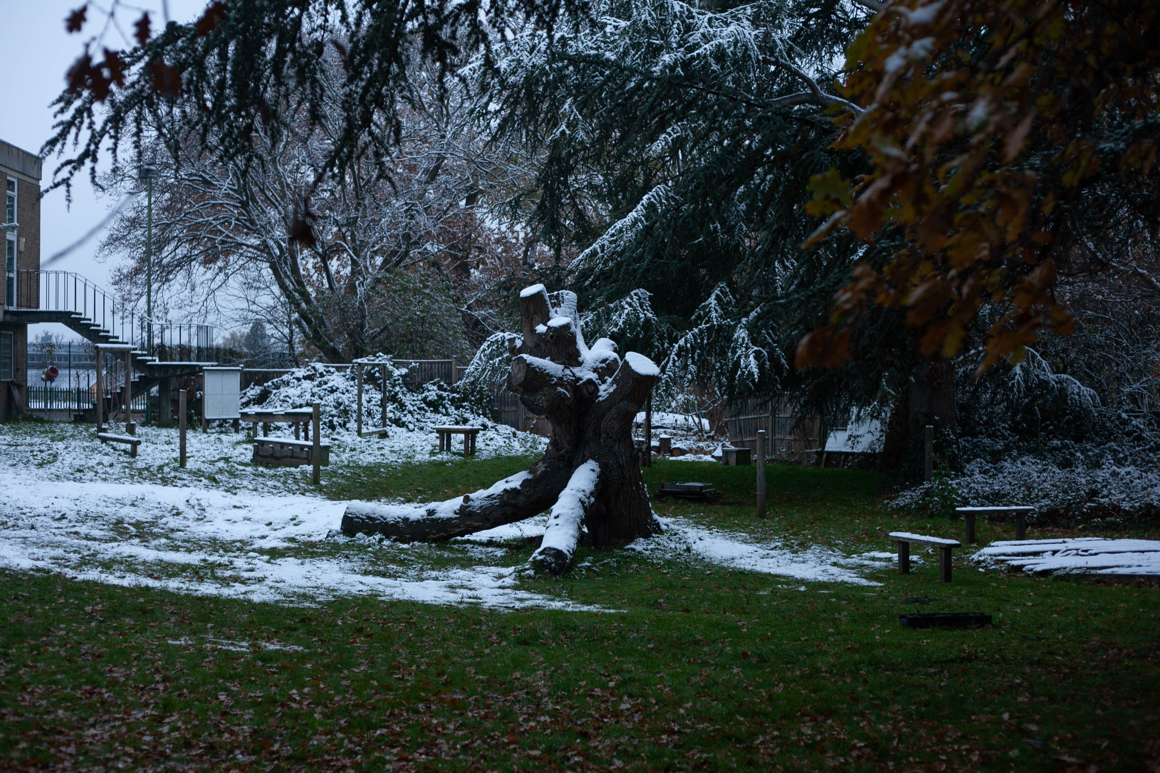 Snow in Roehampton 70
