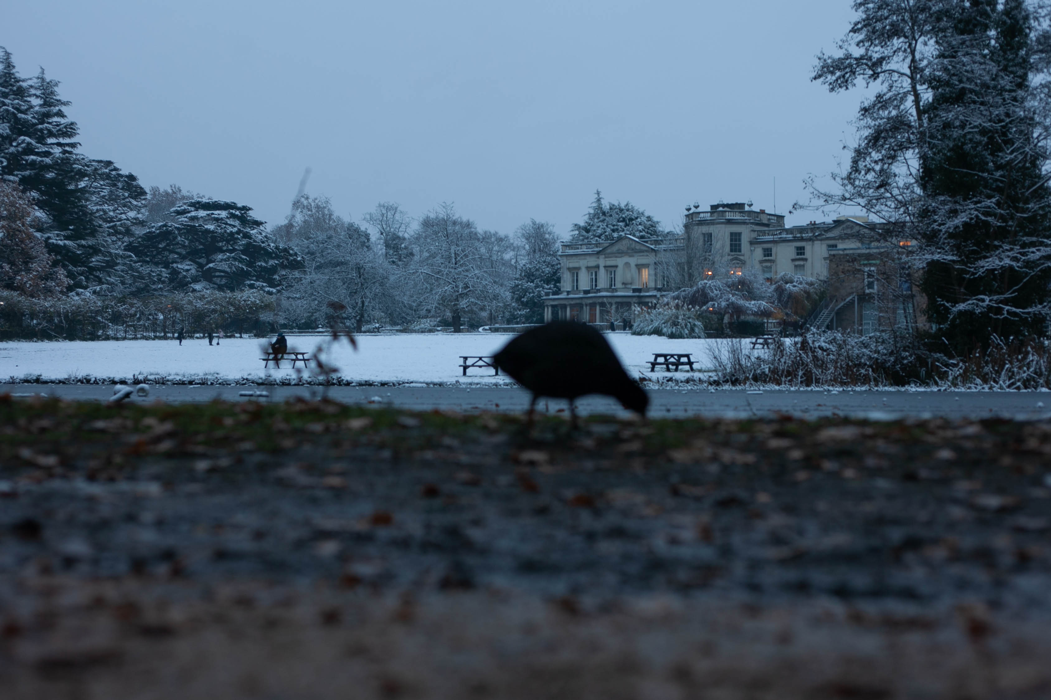 Snow in Roehampton 74