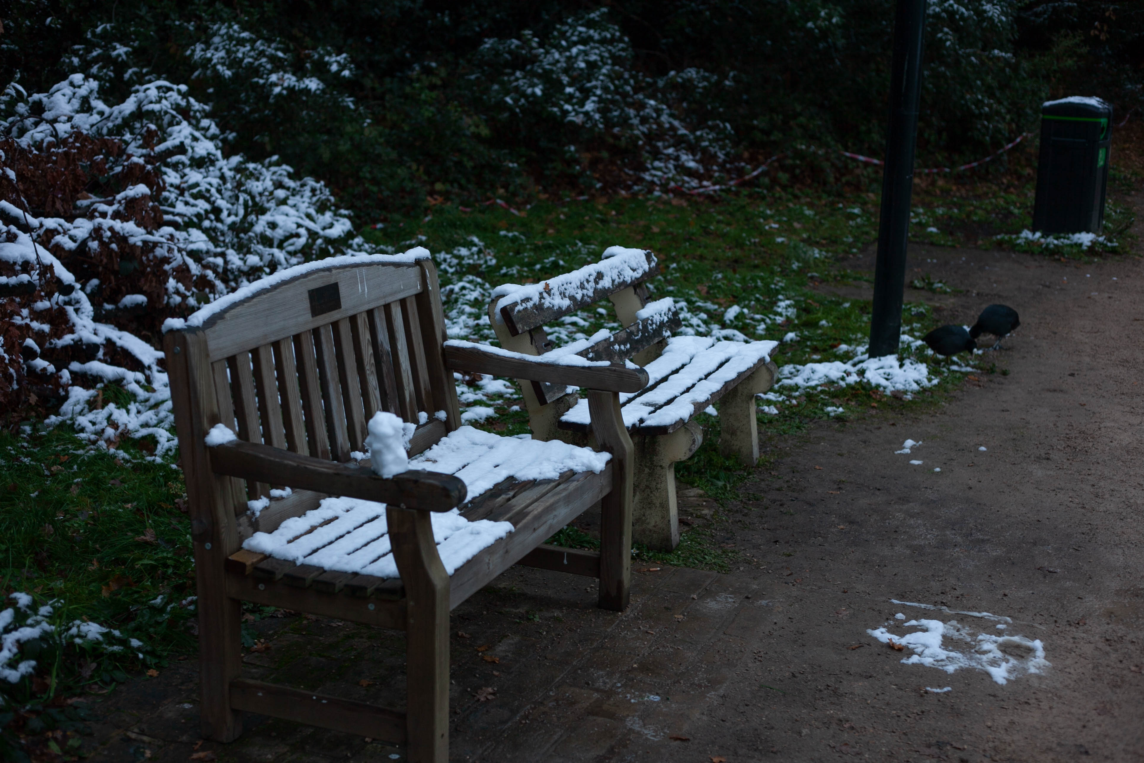 Snow in Roehampton 75