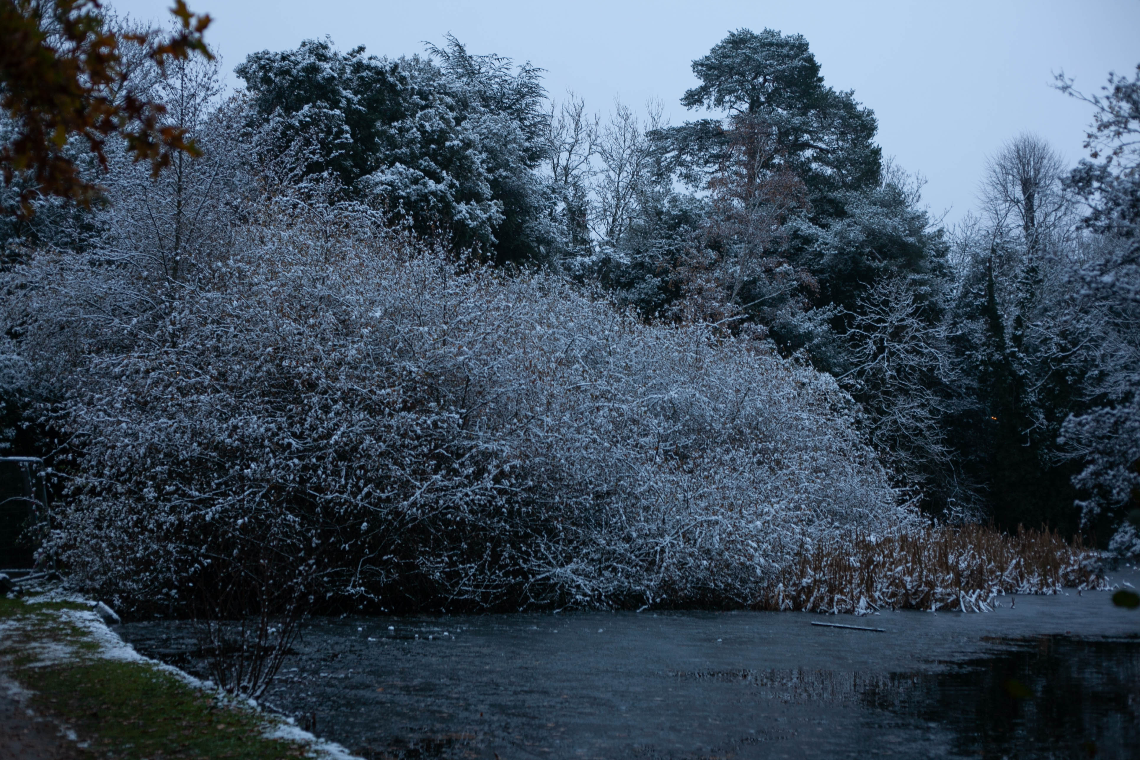 Snow in Roehampton 79