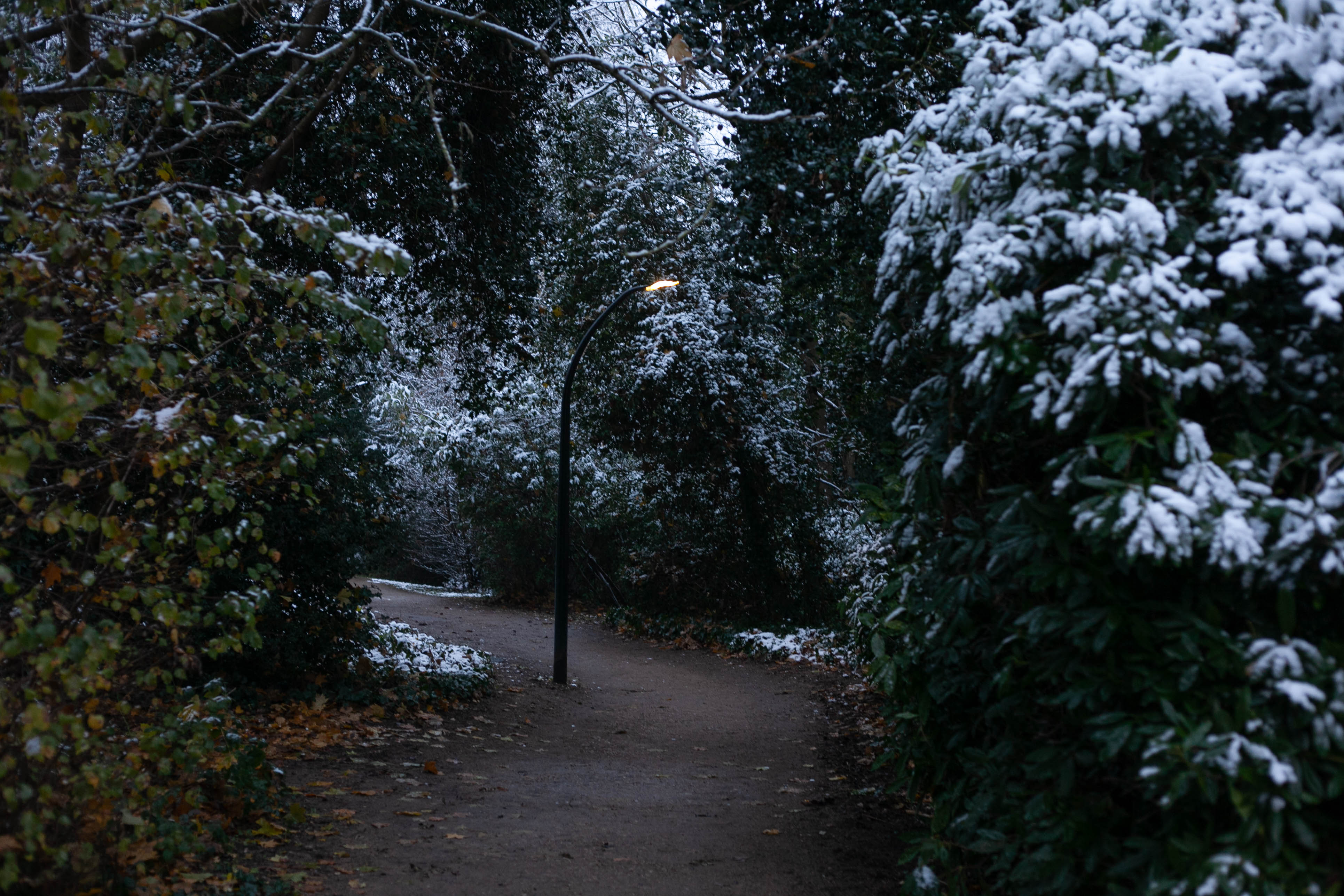 Snow in Roehampton 81