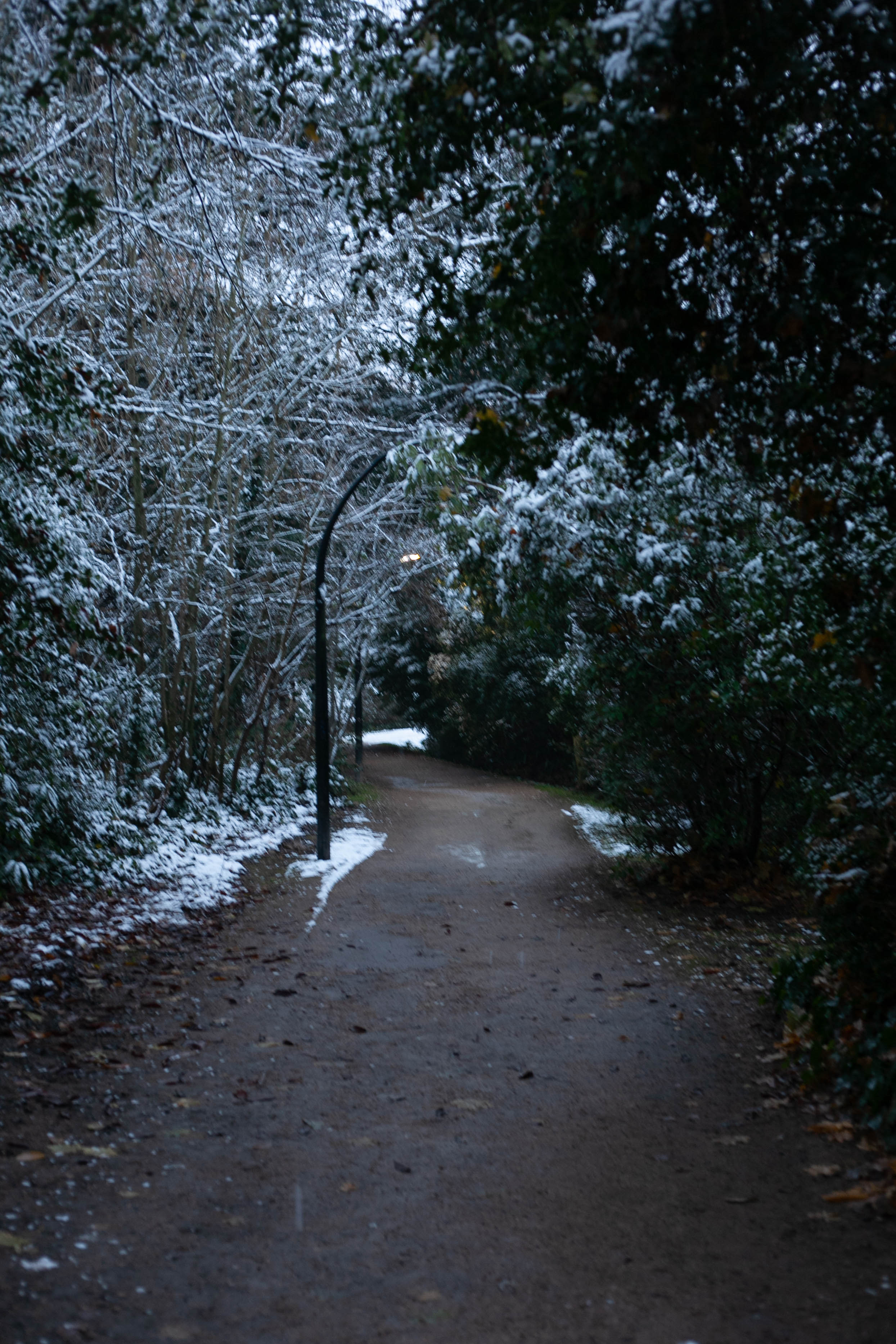 Snow in Roehampton 82