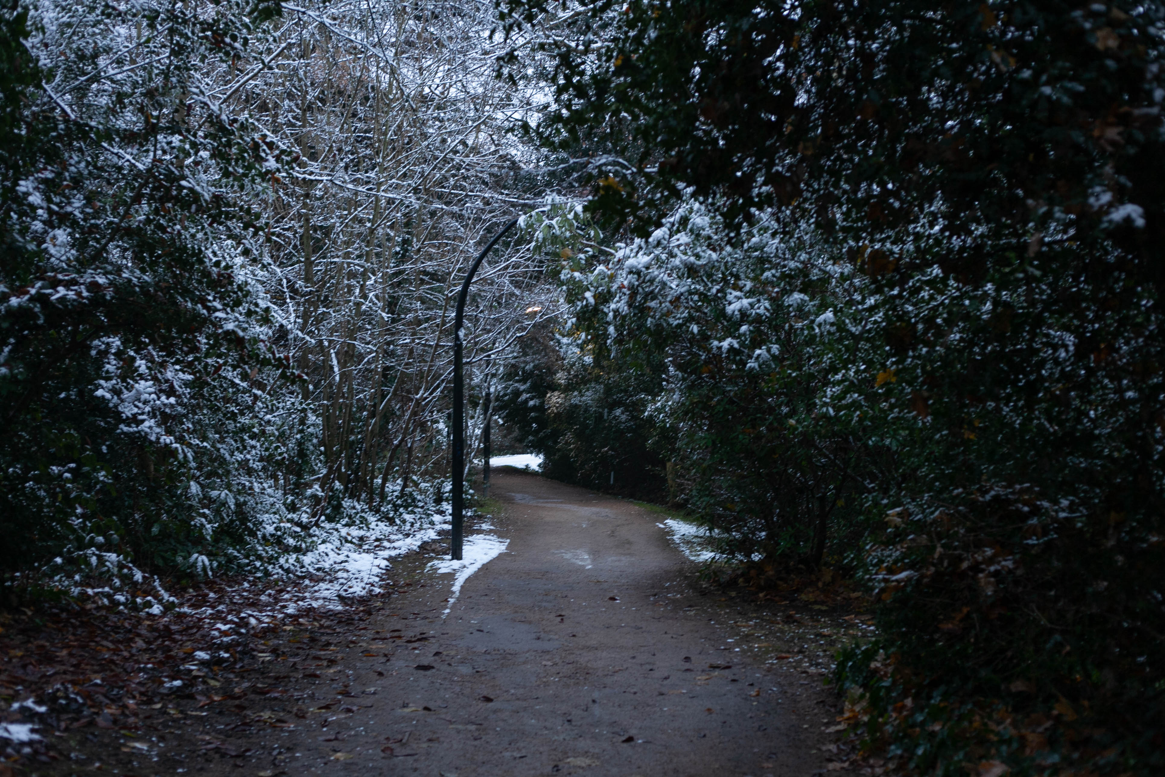 Snow in Roehampton 83