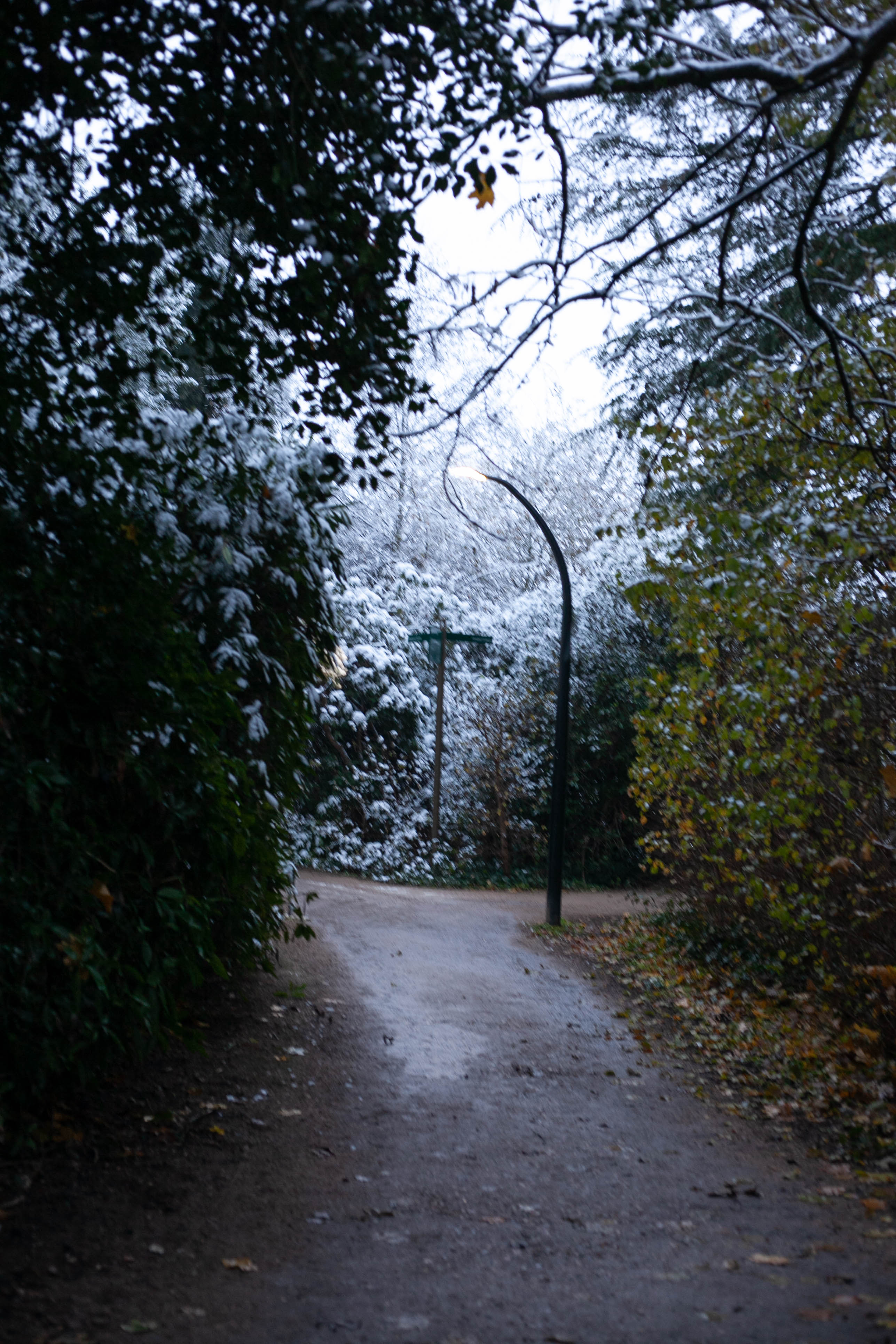 Snow in Roehampton 84