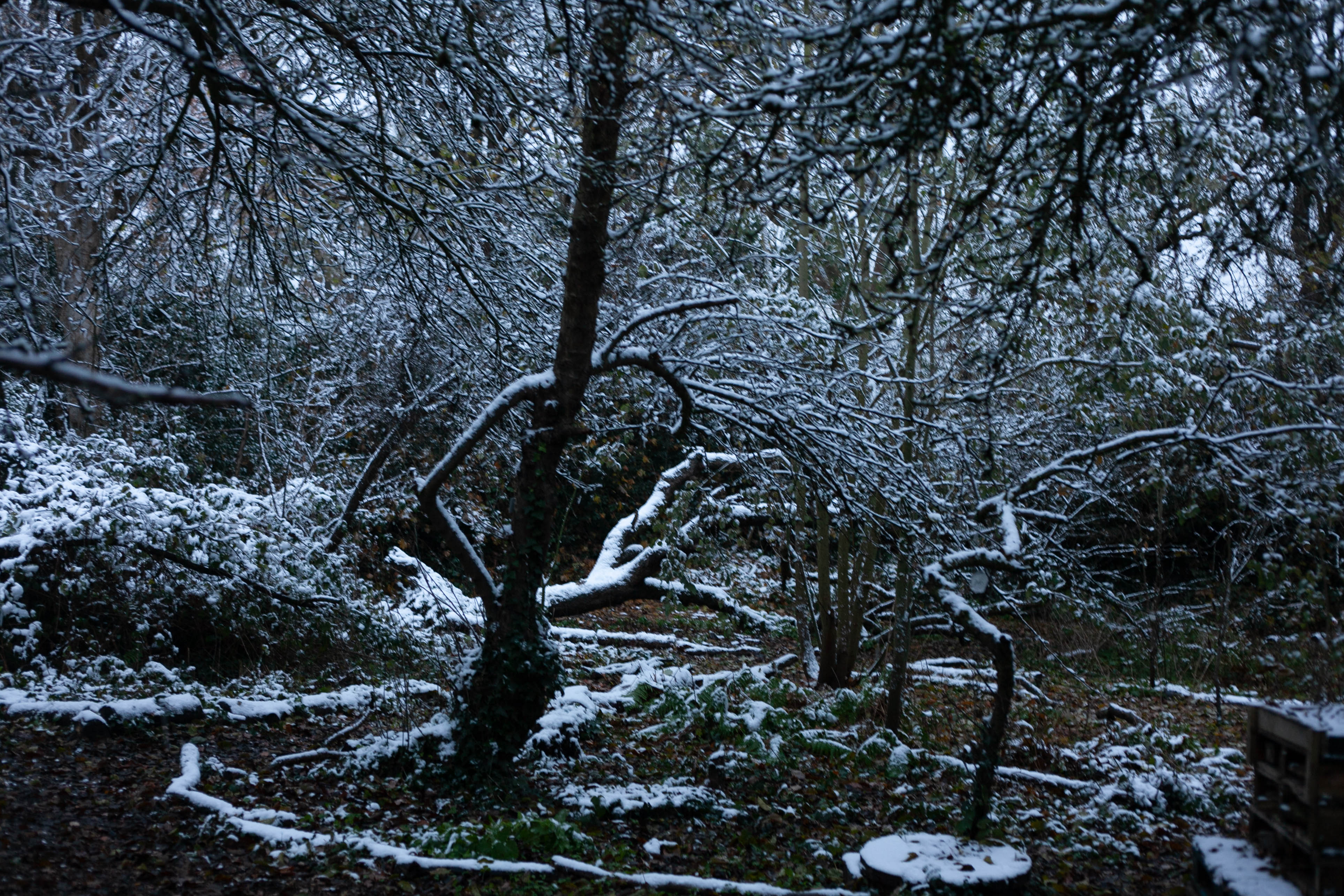 Snow in Roehampton 87