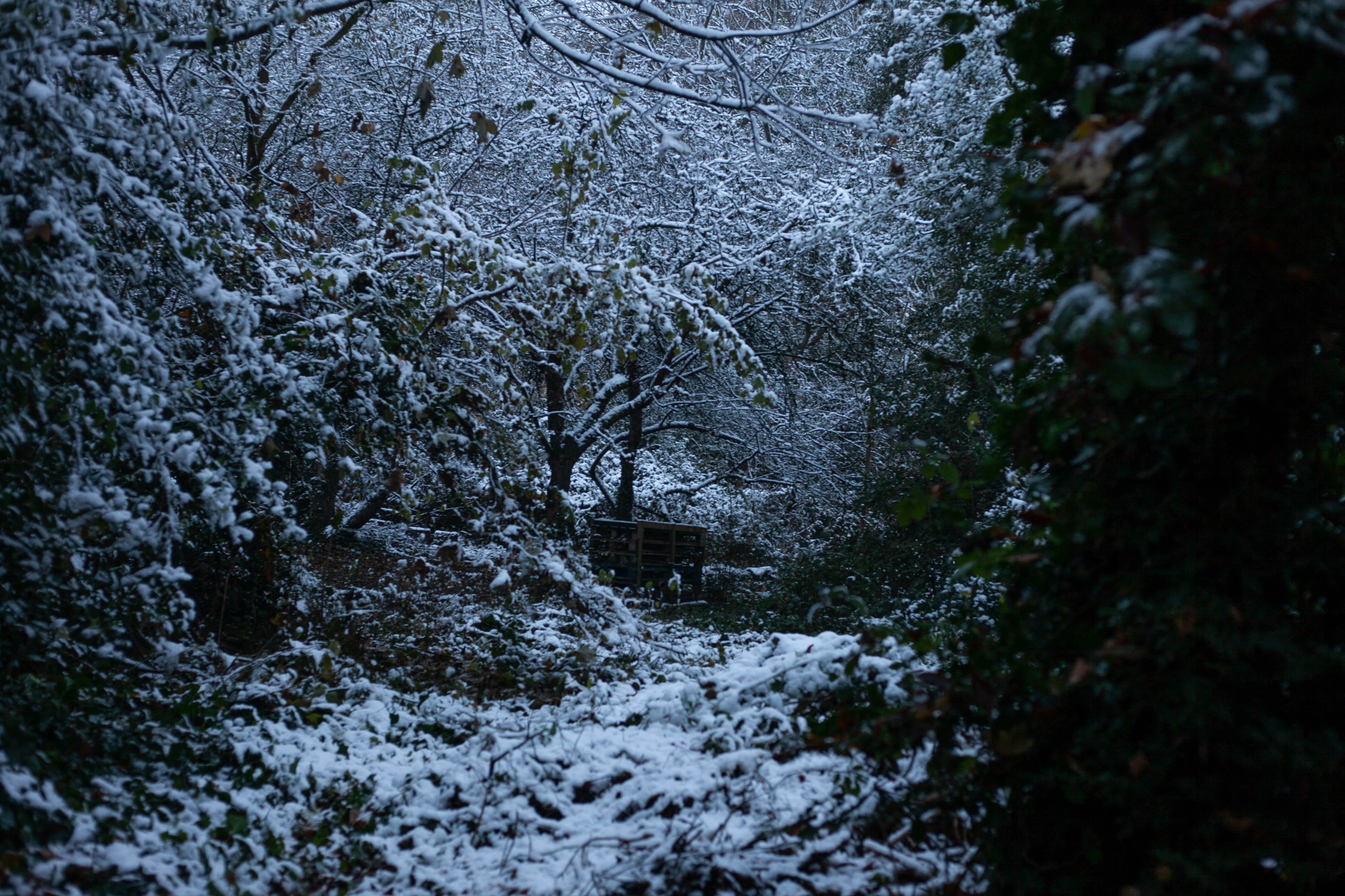 Snow in Roehampton 89