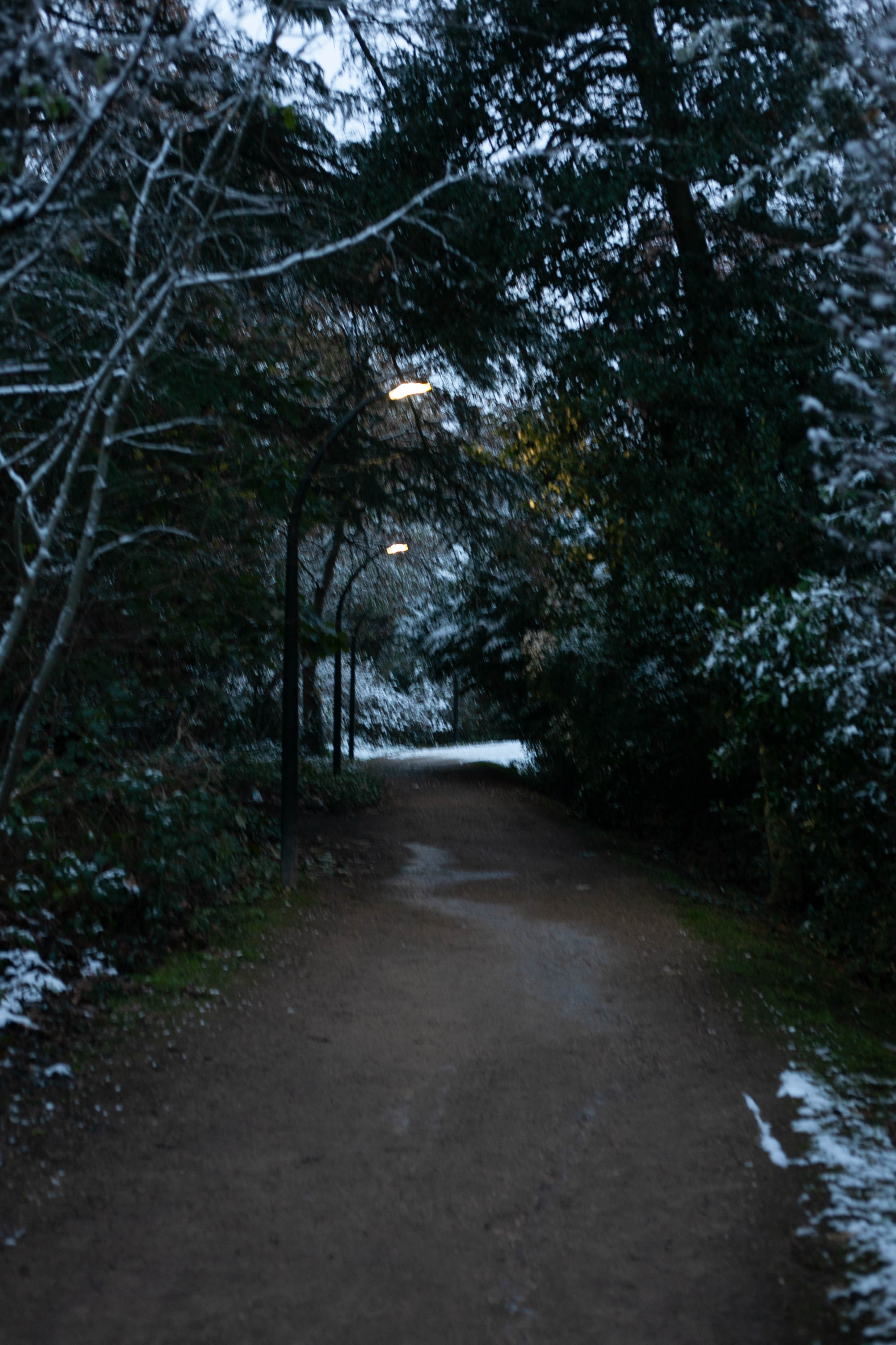 Snow in Roehampton 90