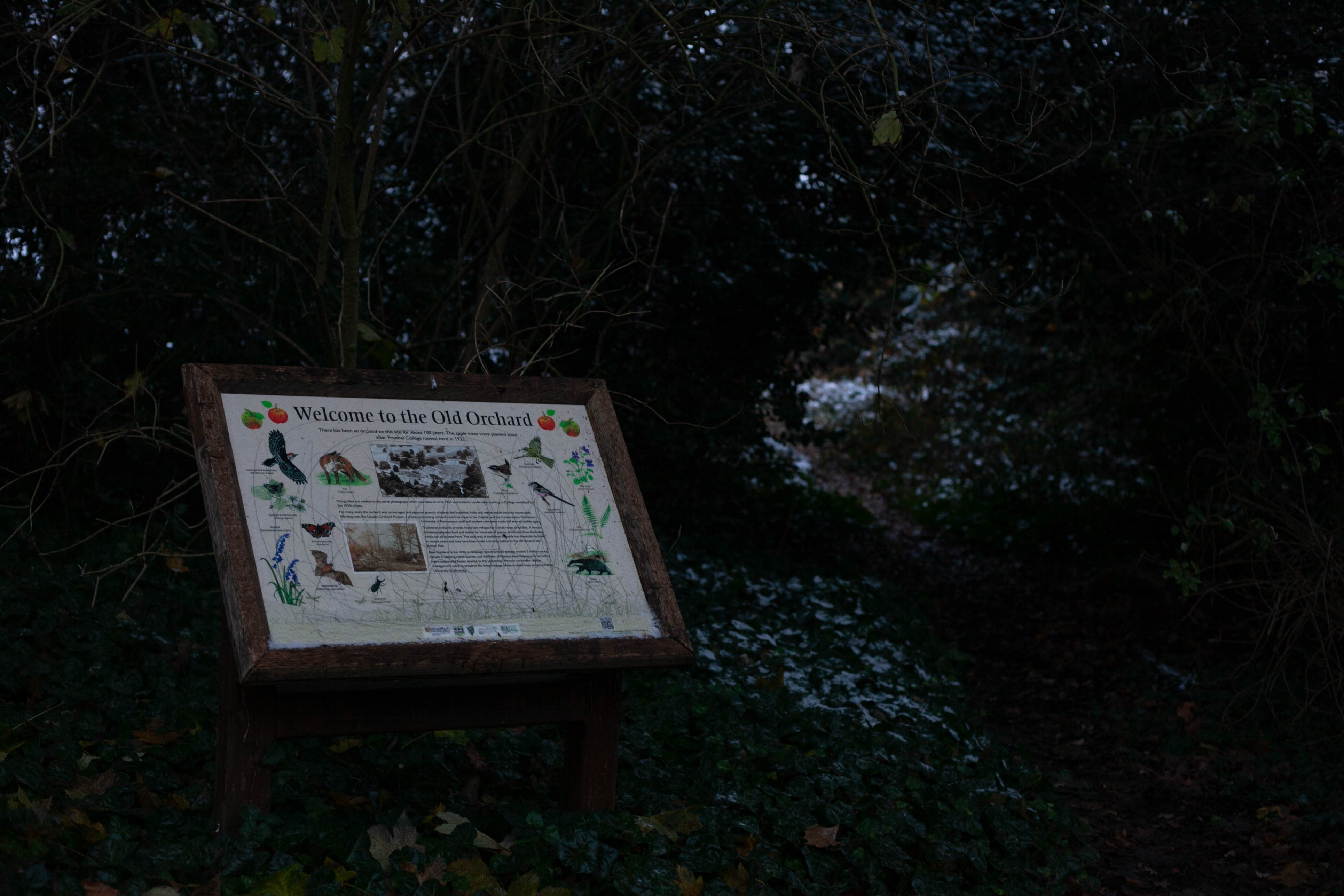 Snow in Roehampton 91