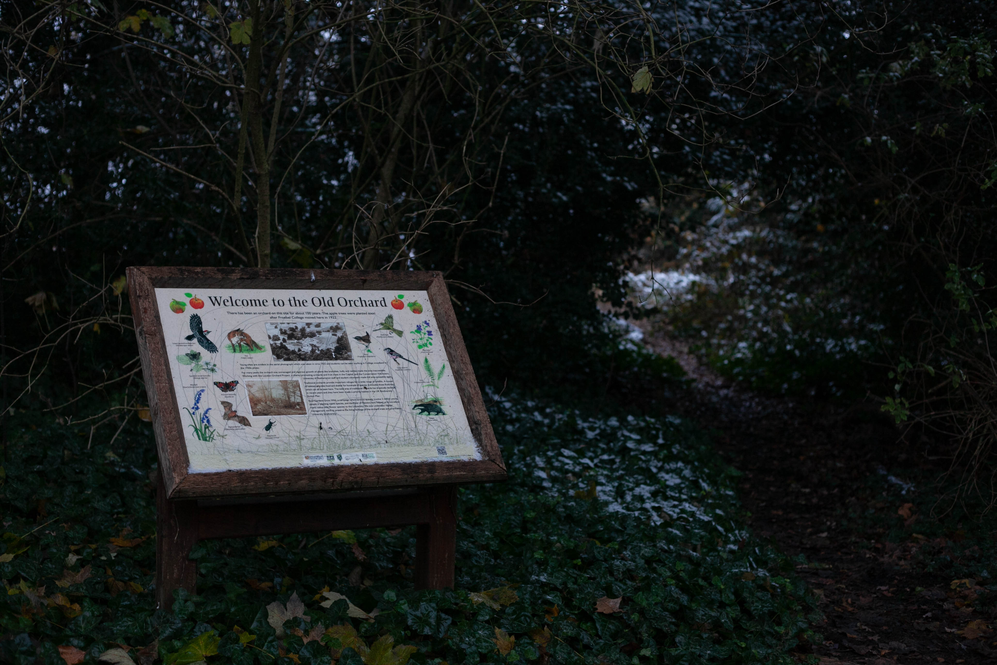 Snow in Roehampton 92