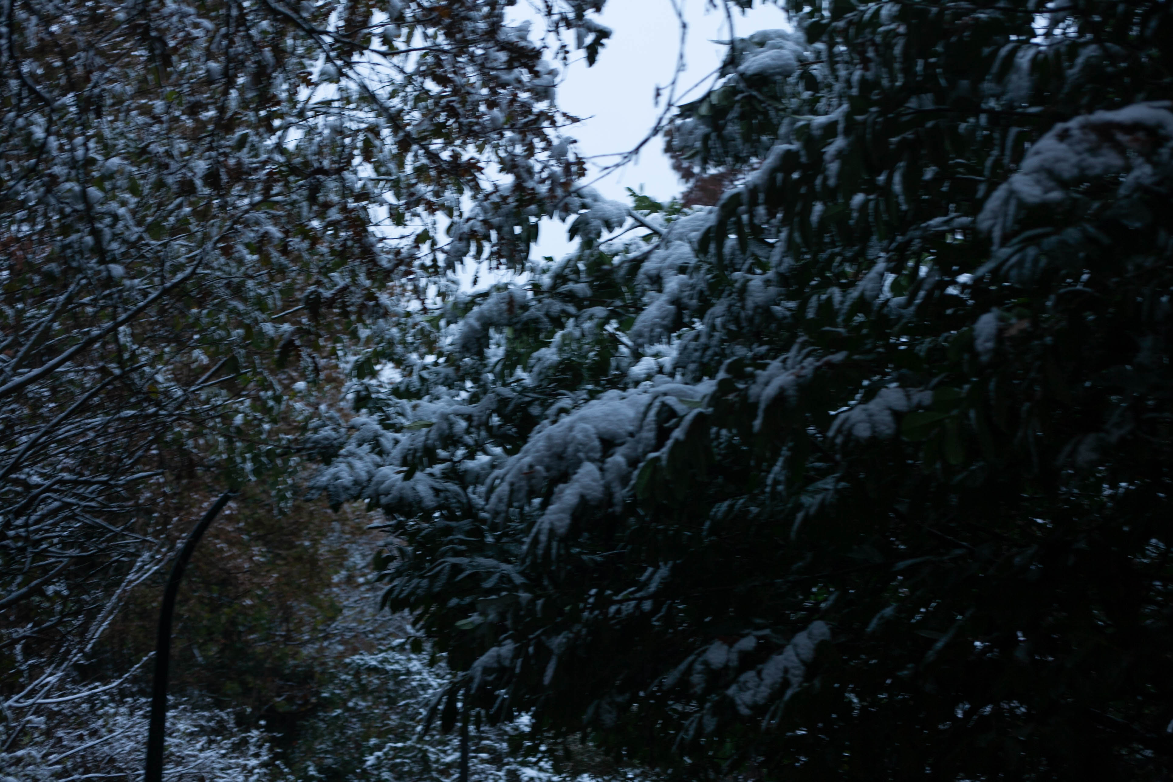 Snow in Roehampton 93