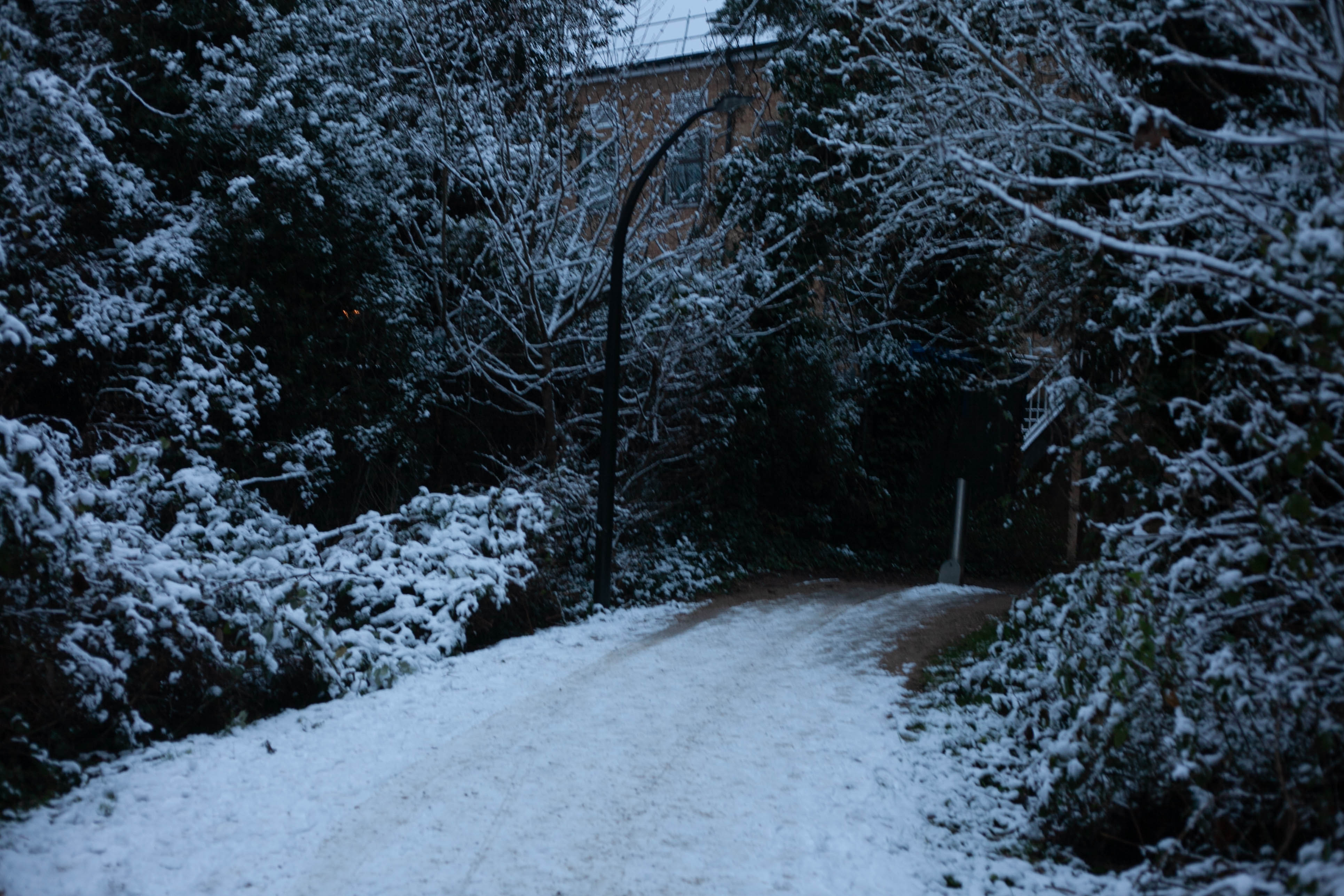 Snow in Roehampton 94