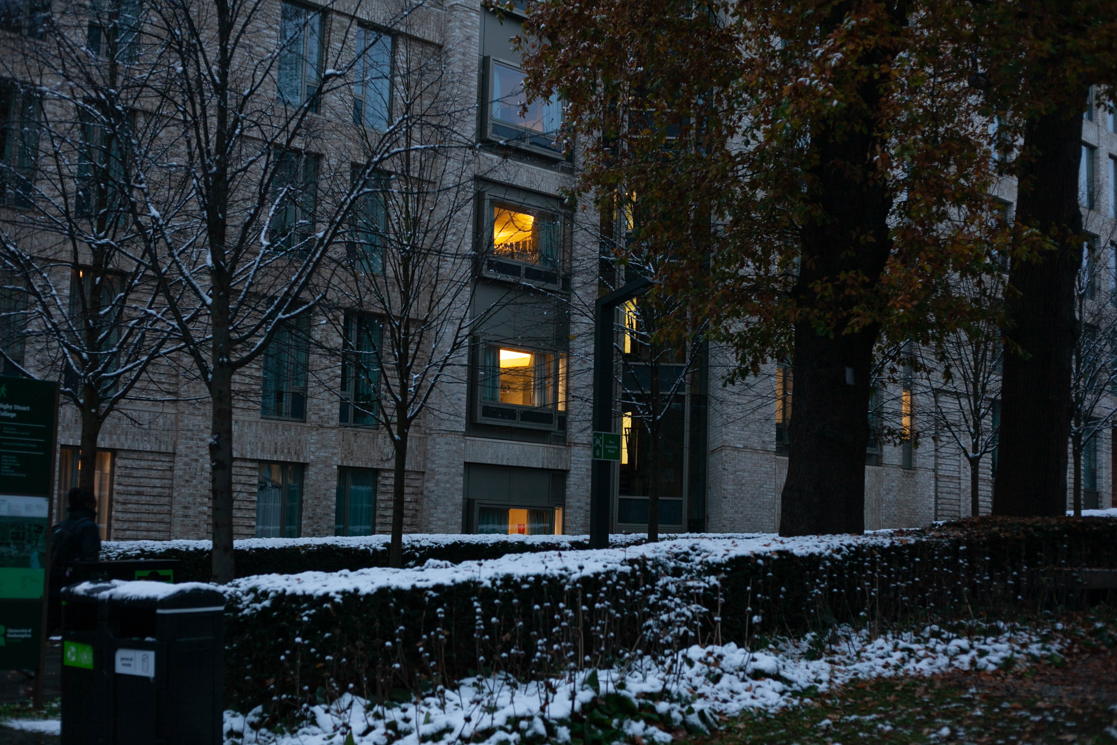 Snow in Roehampton 102