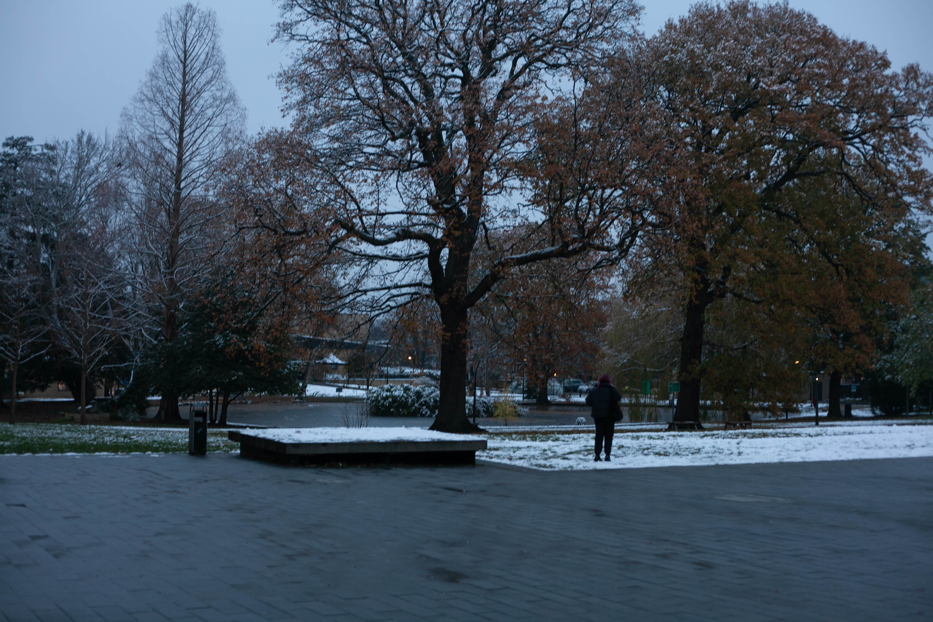 Snow in Roehampton 103