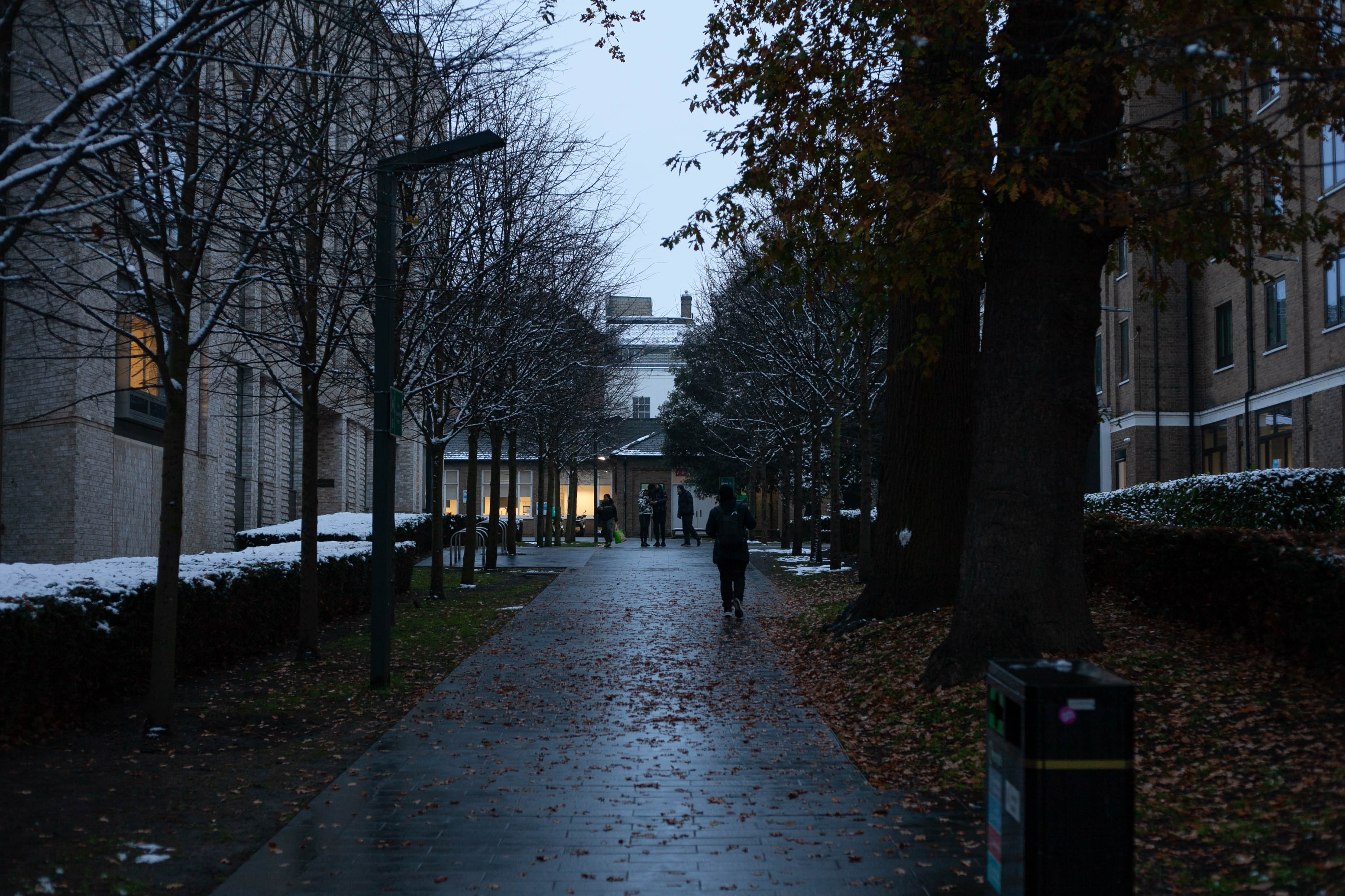 Snow in Roehampton 104